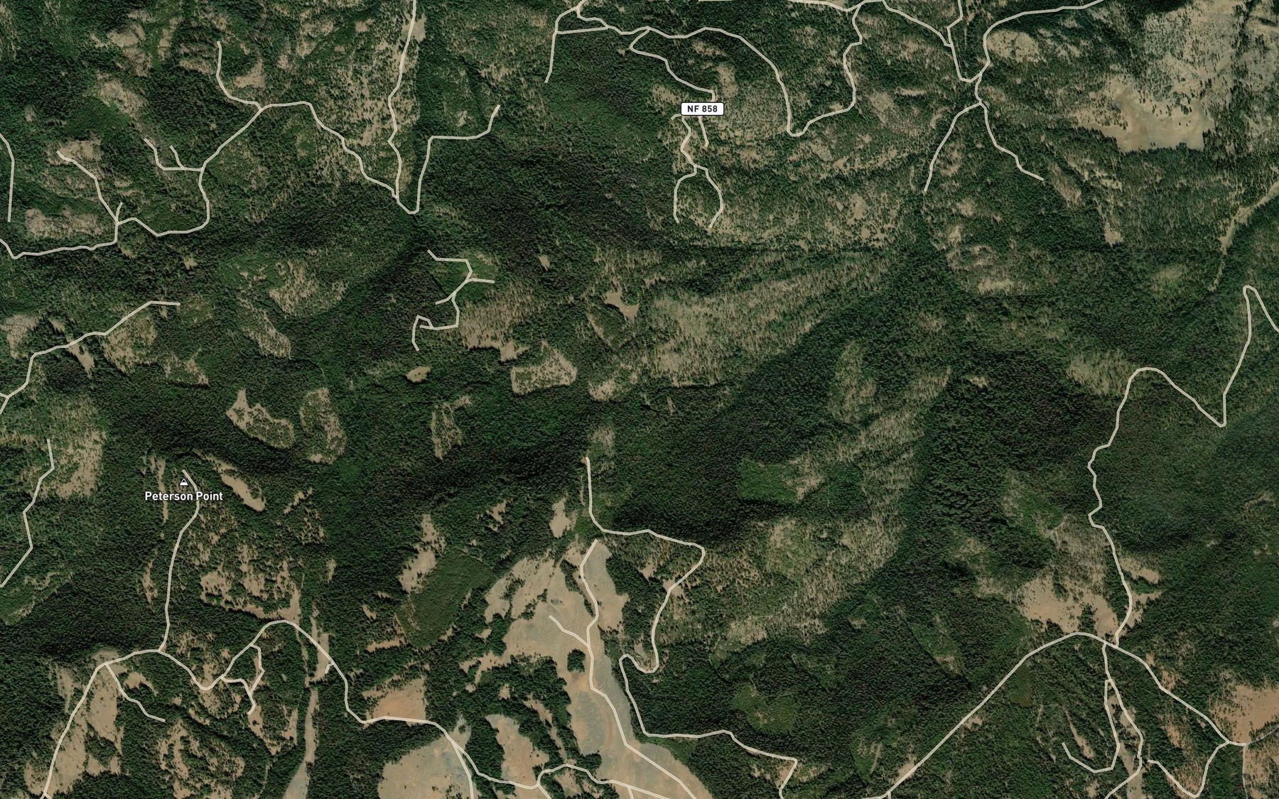 Satellite map of the Rainier Spring