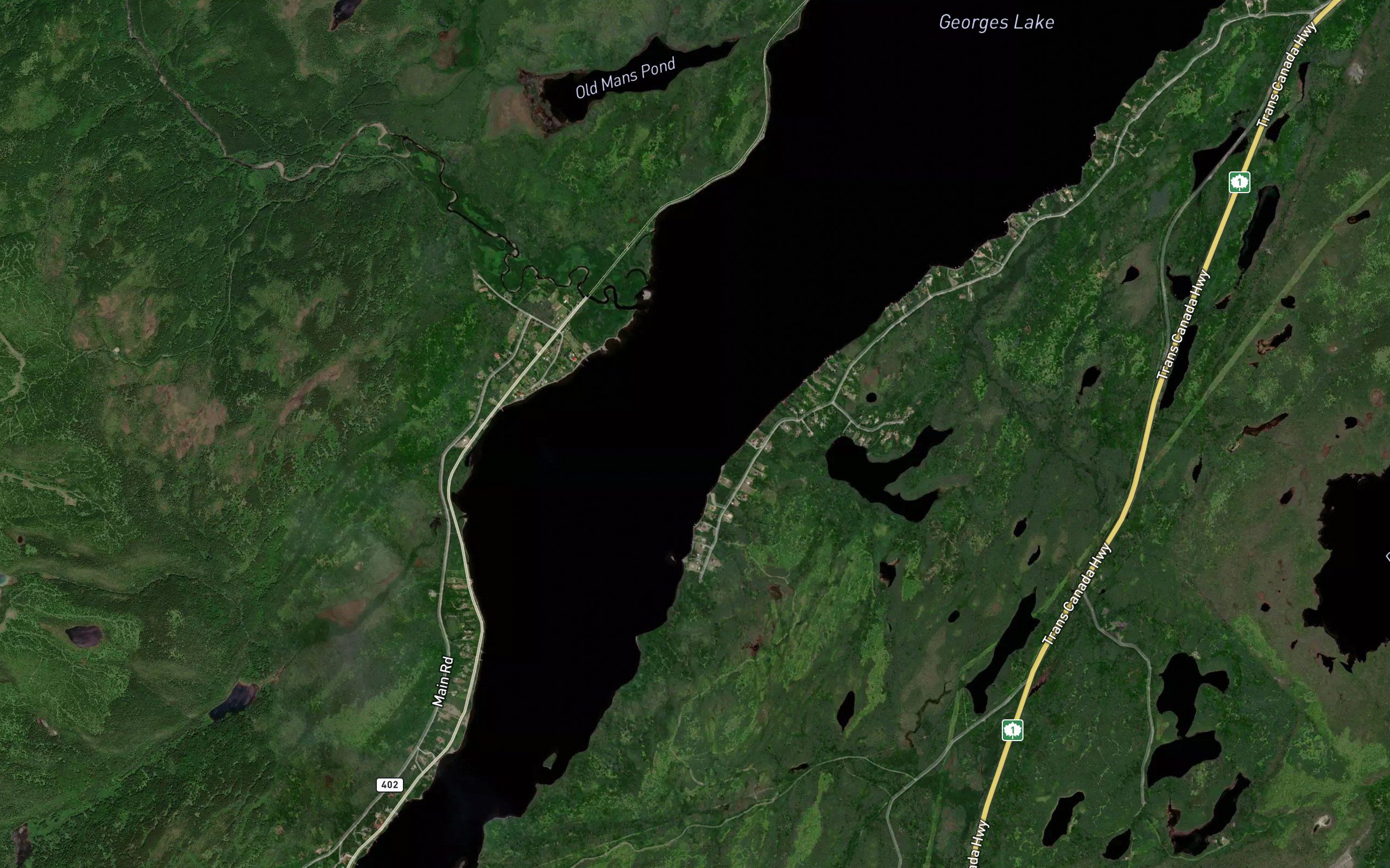 Spruce Brook