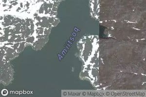 Amitsoq