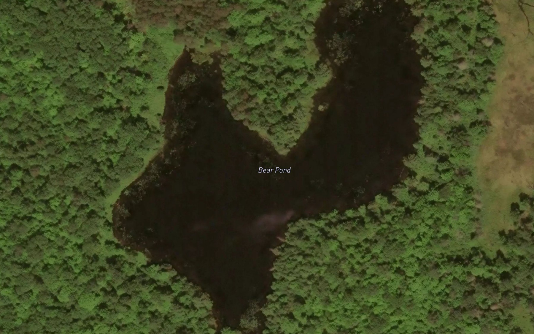 Satellite map of the Bear Pond