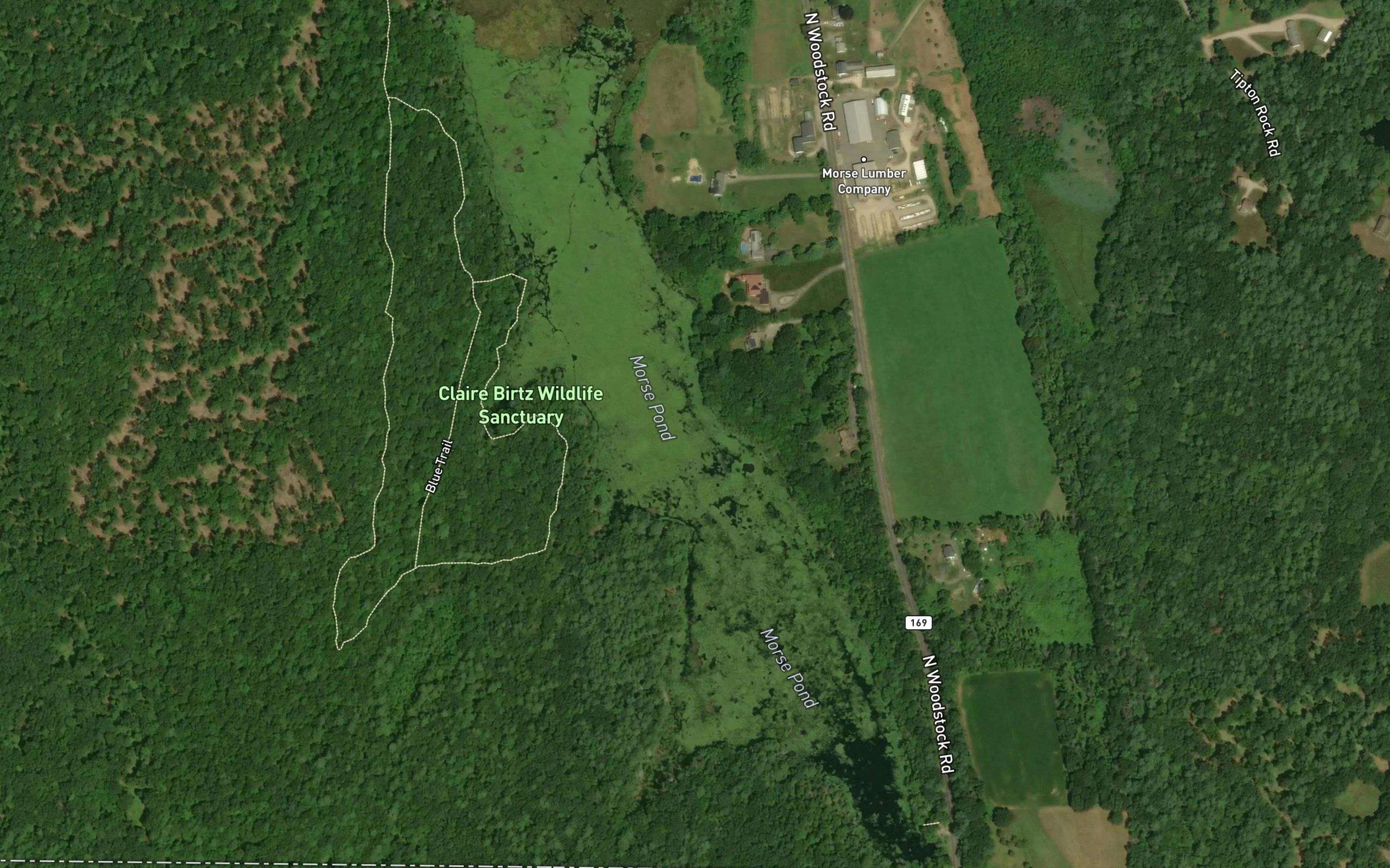 Morse Pond