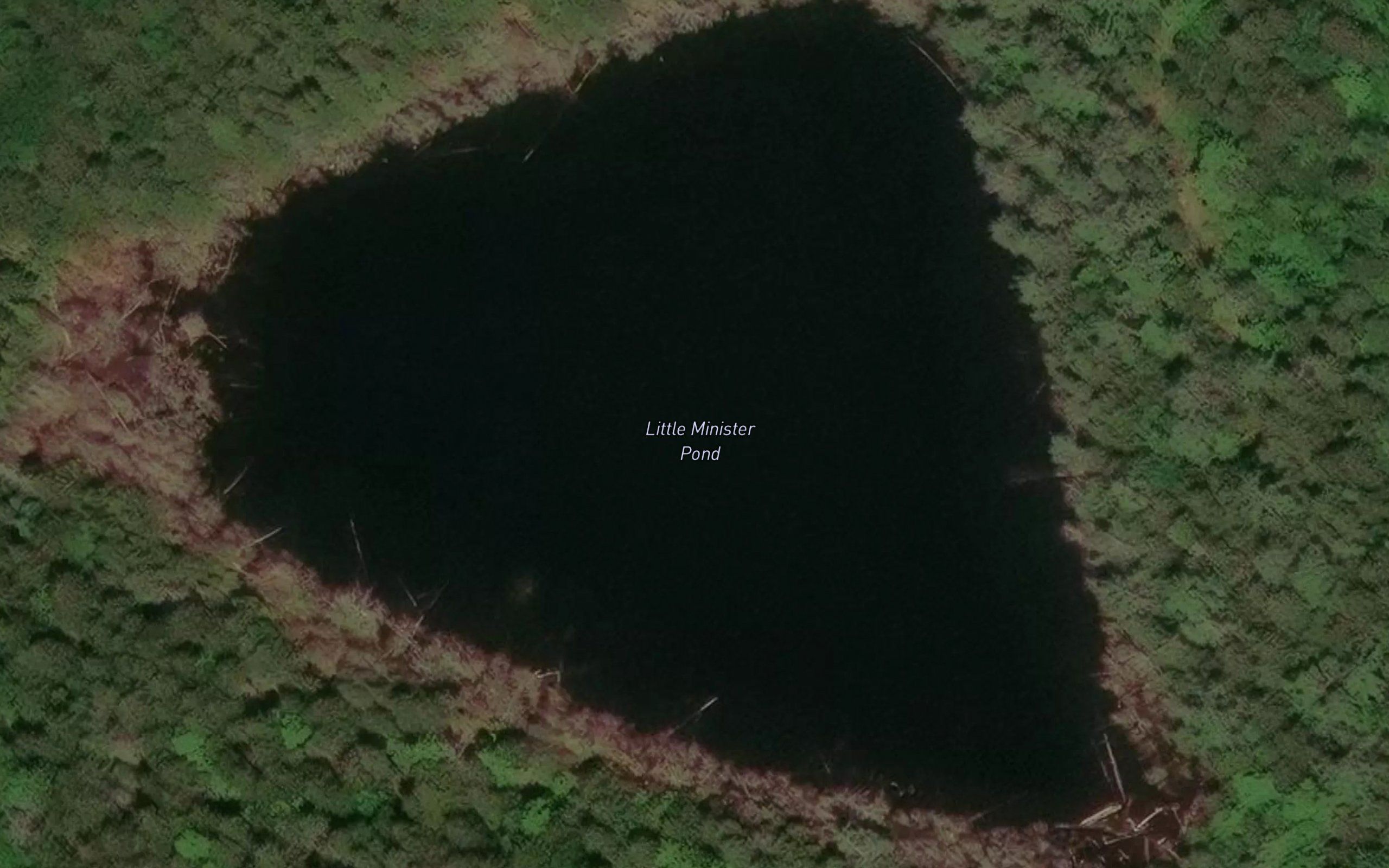 Little Minister Pond