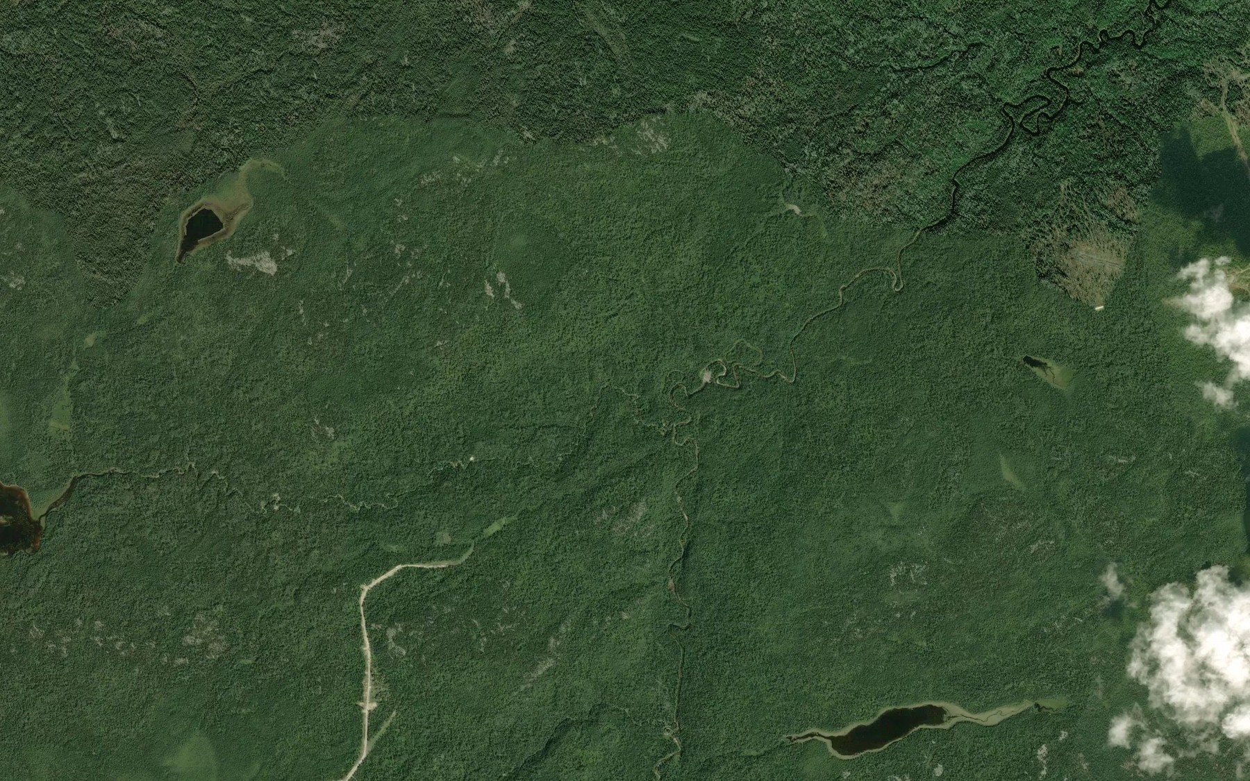 Satellite map of the Loughlan Creek