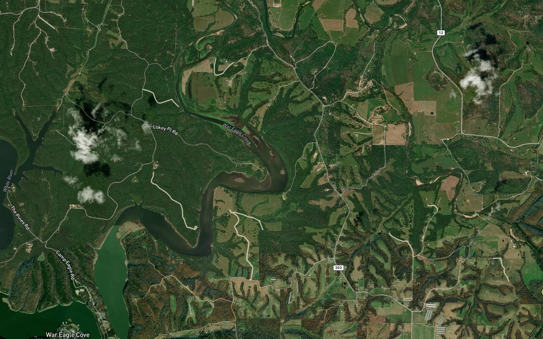 Satellite map of the Beaver Lake