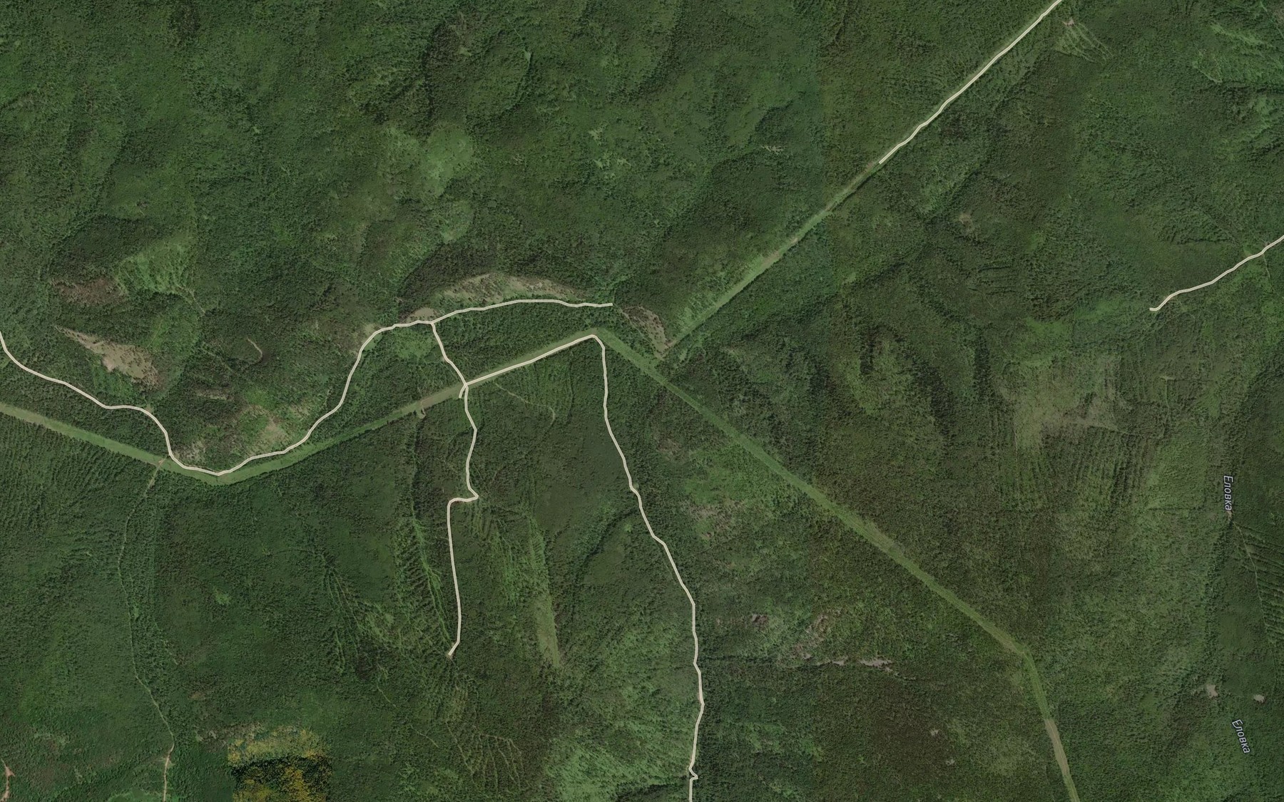 Satellite map of the Levaya P'yanaya