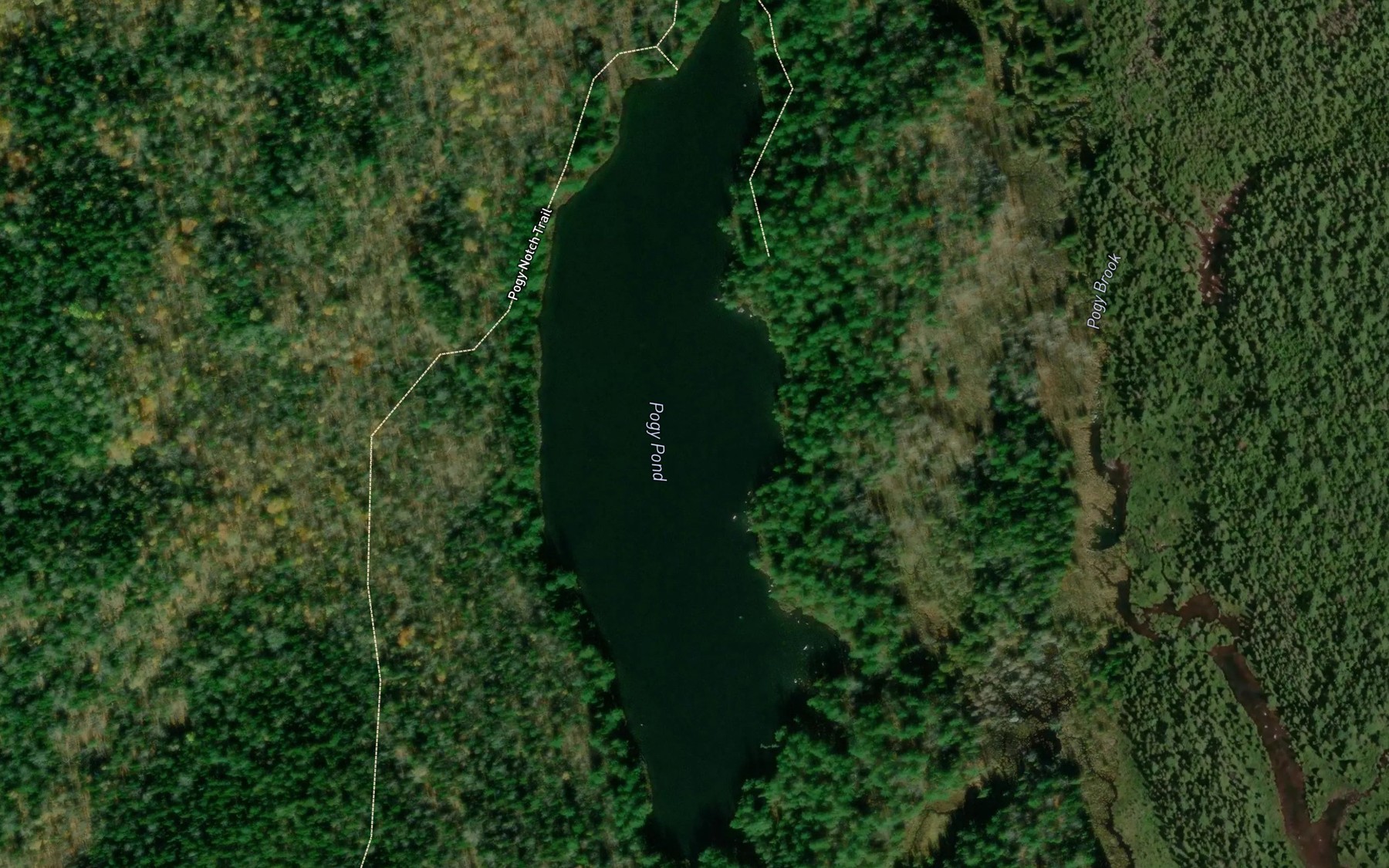 Satellite map of the Pogy Pond
