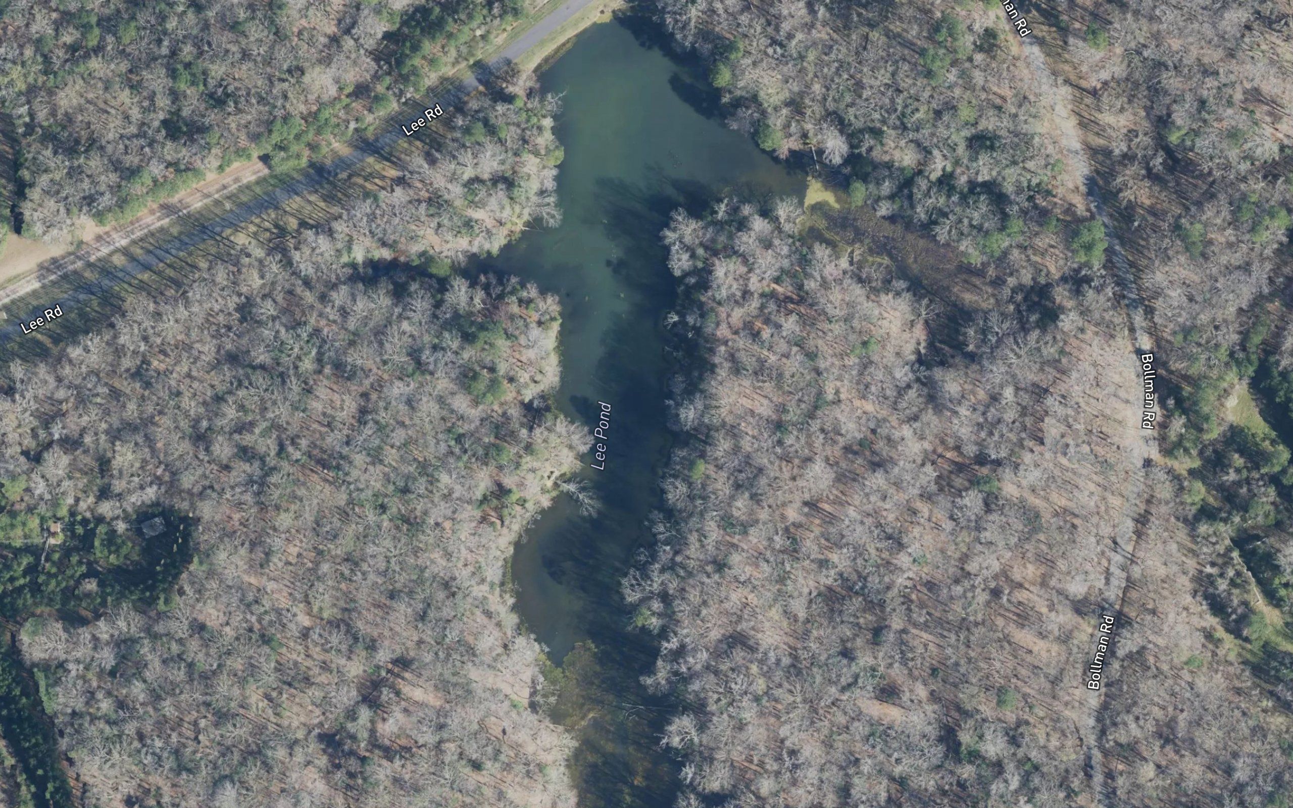 Lee Pond