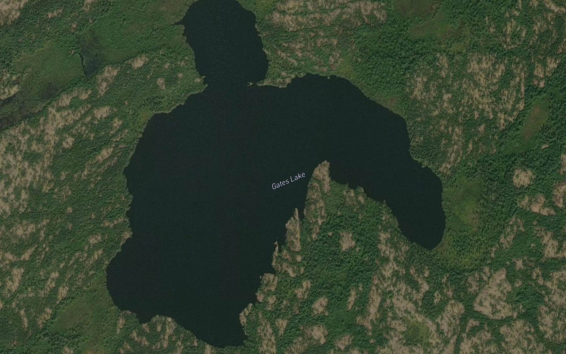 Satellite map of the Gates Lake