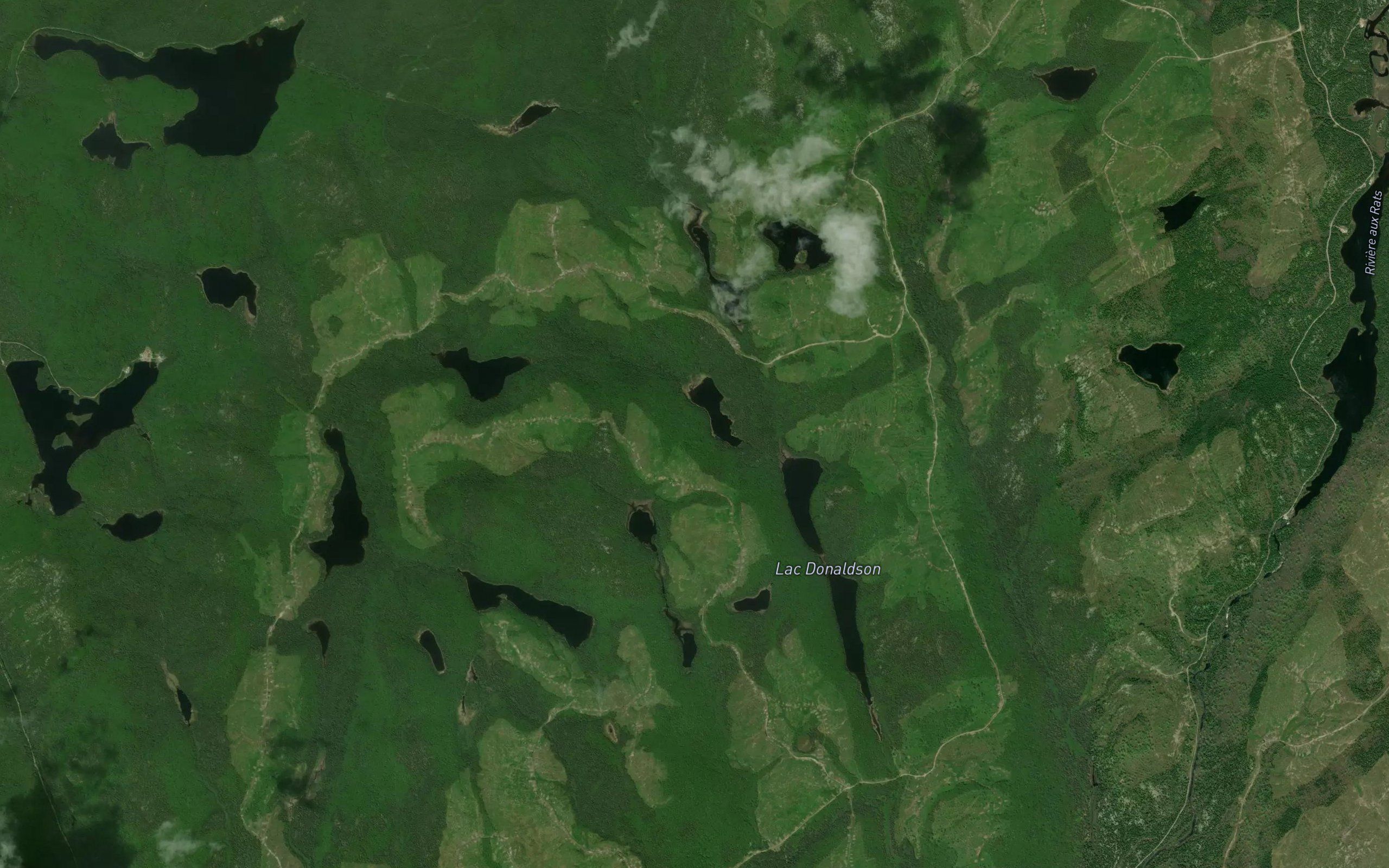 Lac Cynthia