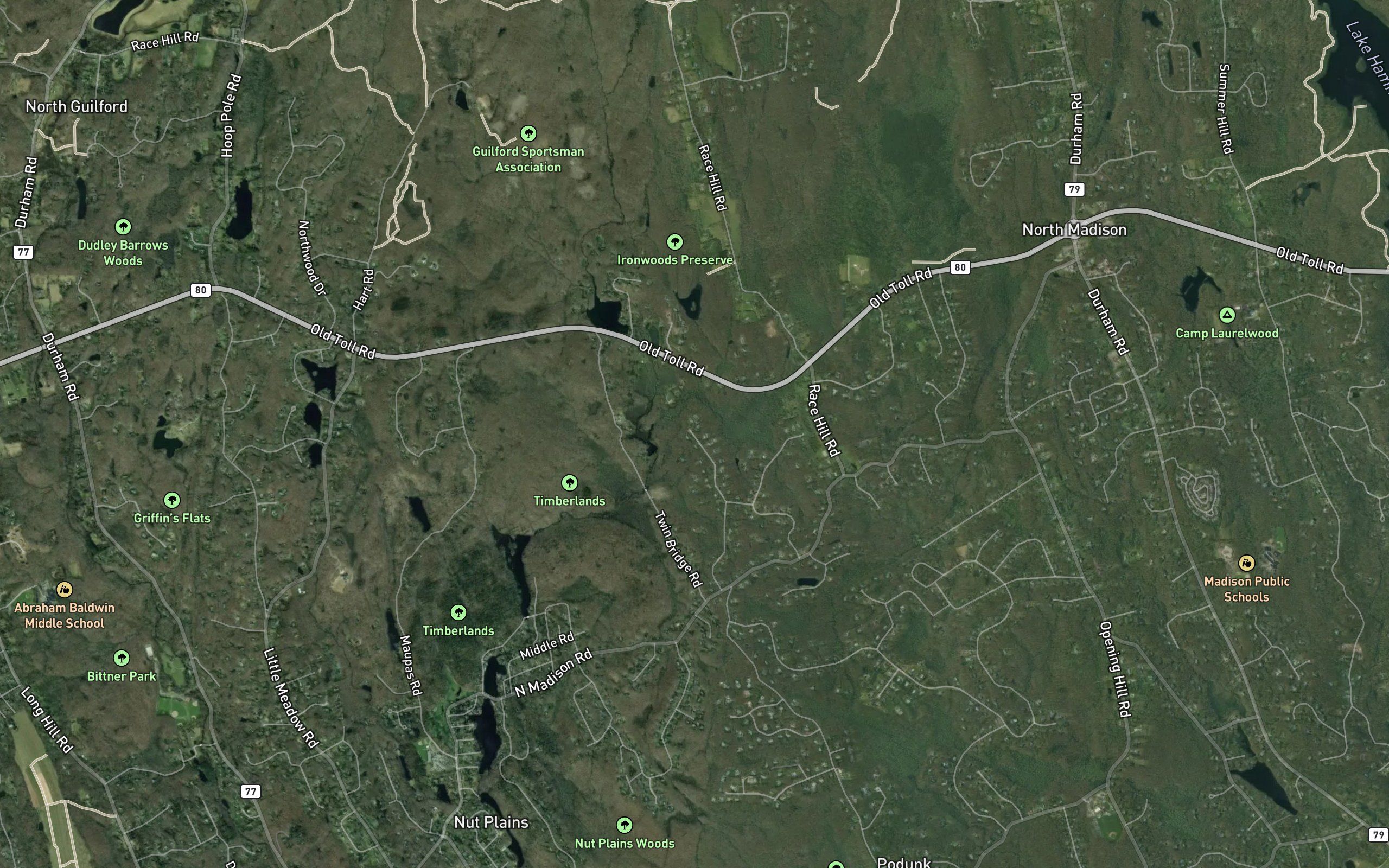 Dowd Hollow Brook