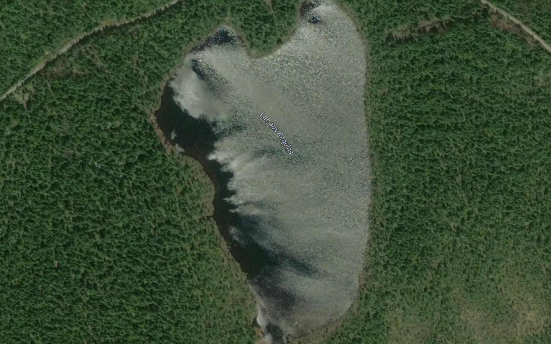 Satellite map of the Lac aux Requins