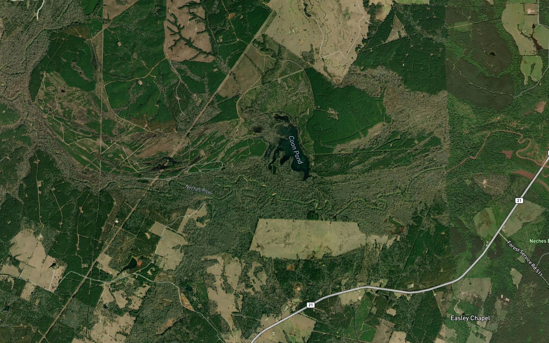 Satellite map of the Brushy Lake