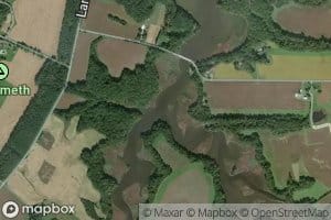 Granny Finley Branch