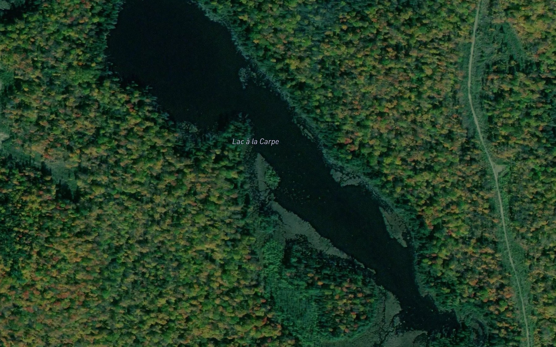 Satellite map of the Lac a la Carpe
