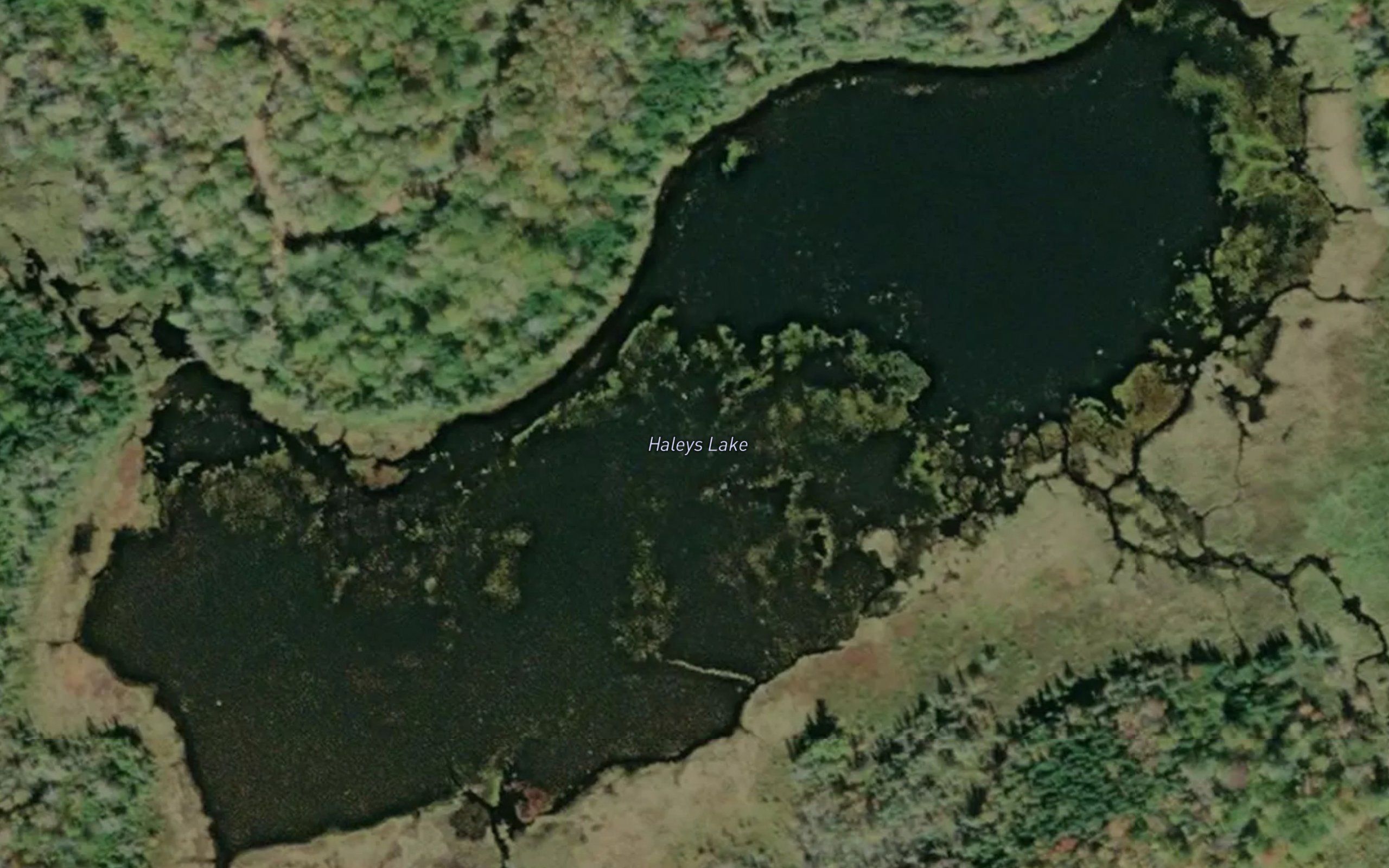 Haleys Lake
