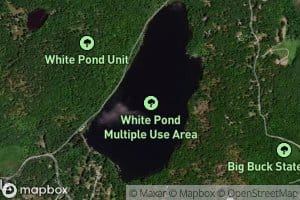 White Pond