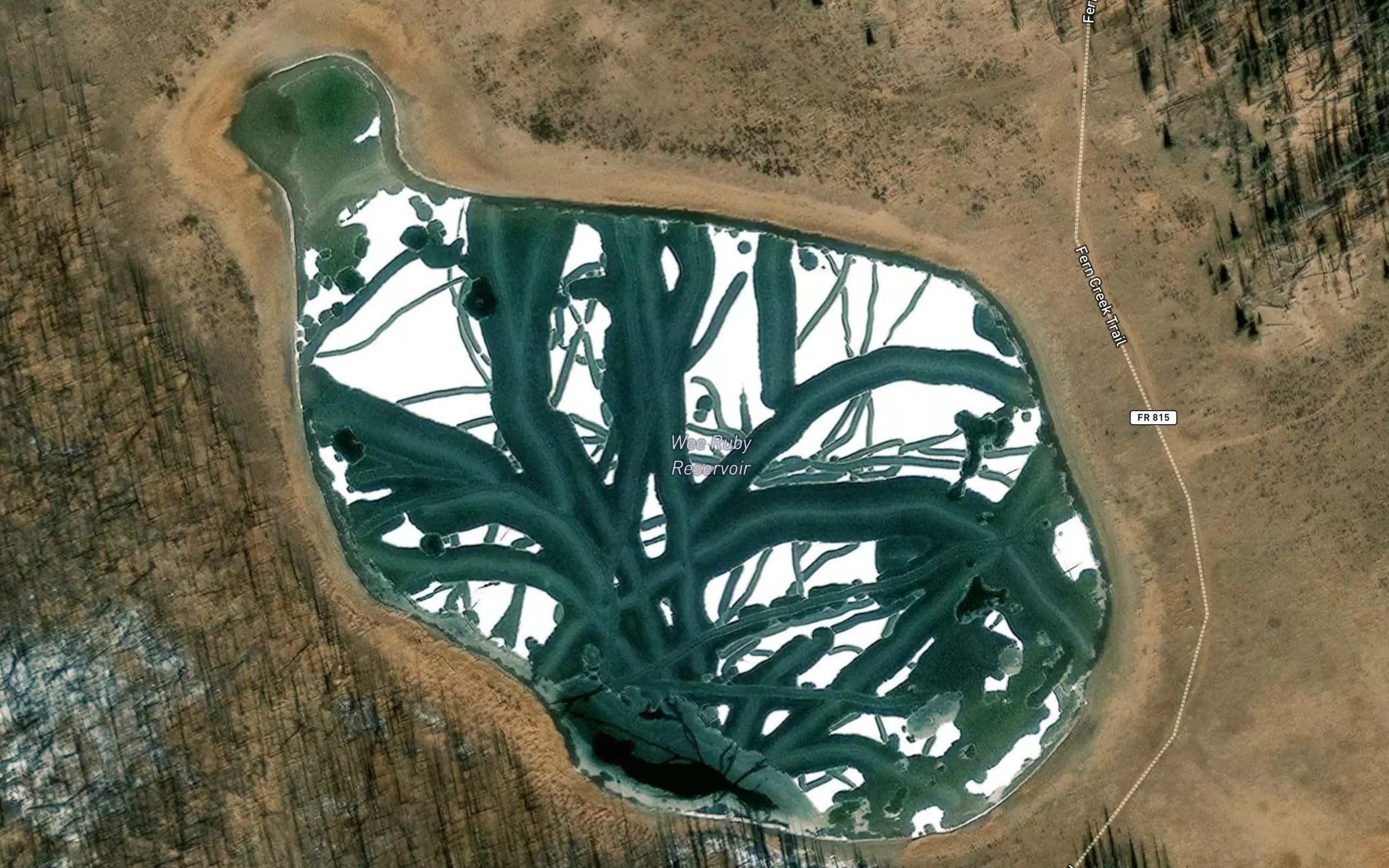 Wee Ruby Reservoir