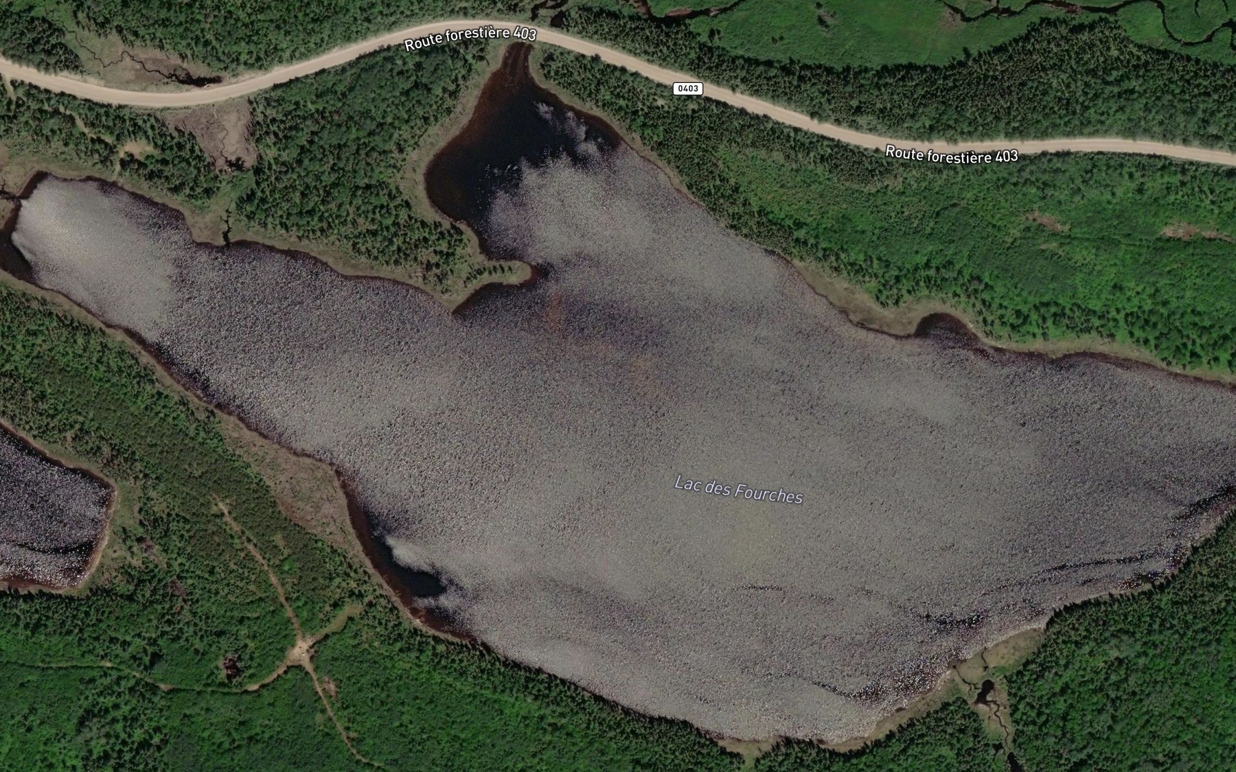 Satellite map of the Lac des Fourches