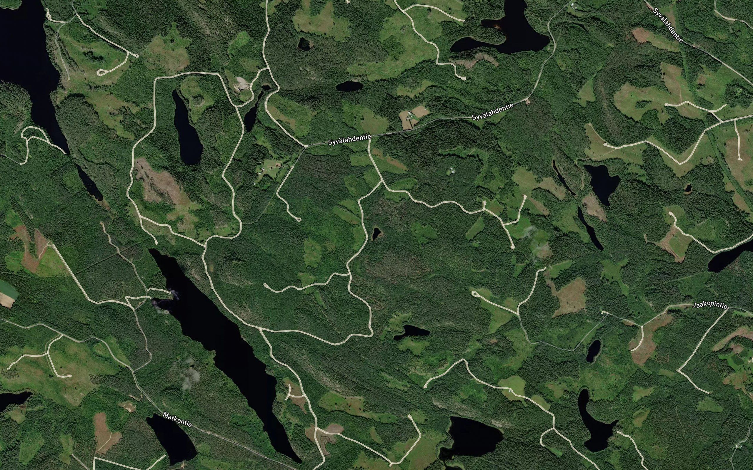 Kekonlampi