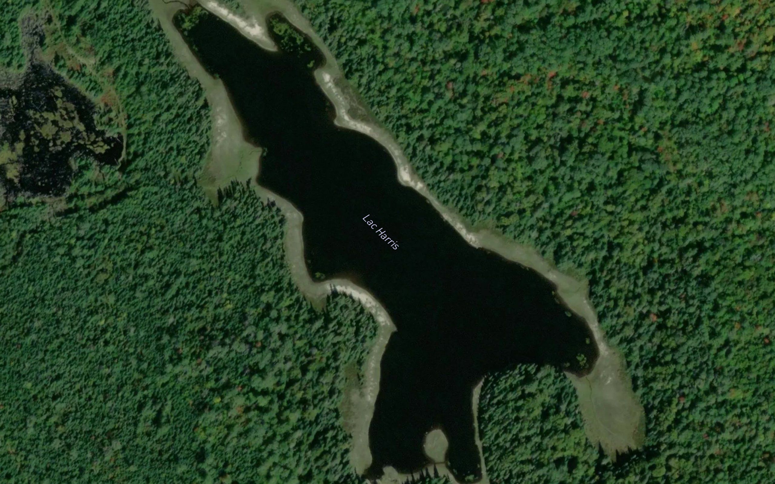 Lac Harris