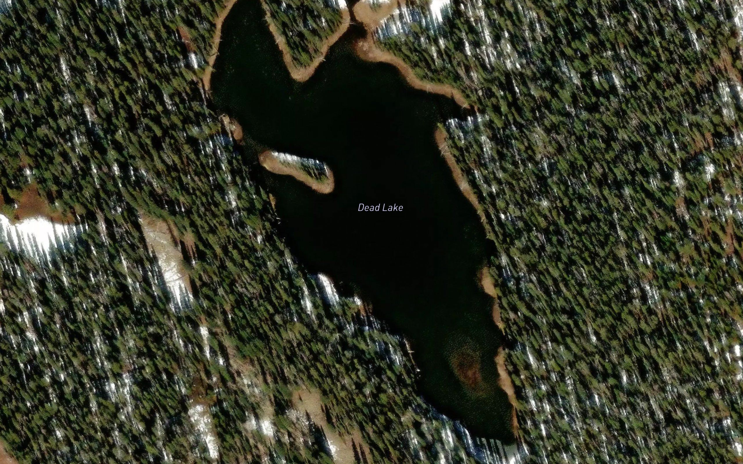 Dead Lake