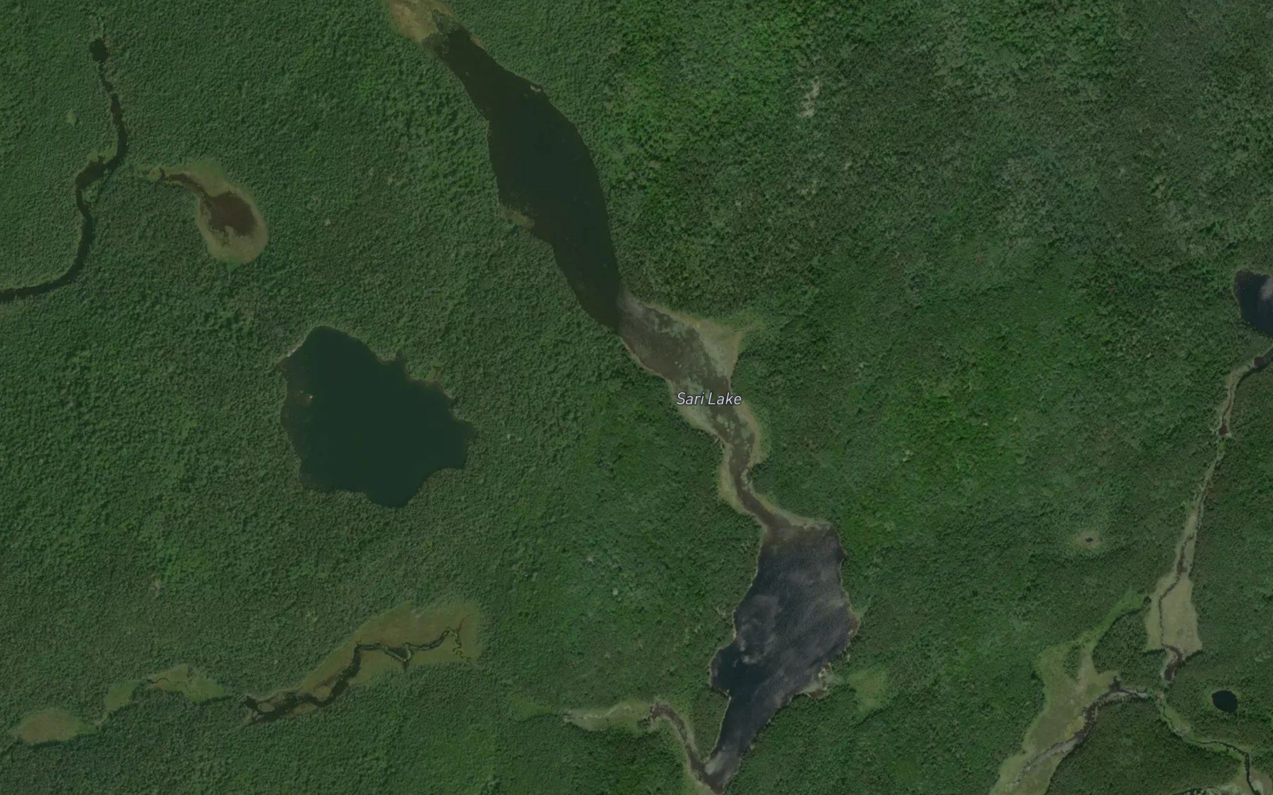 Sari Lake