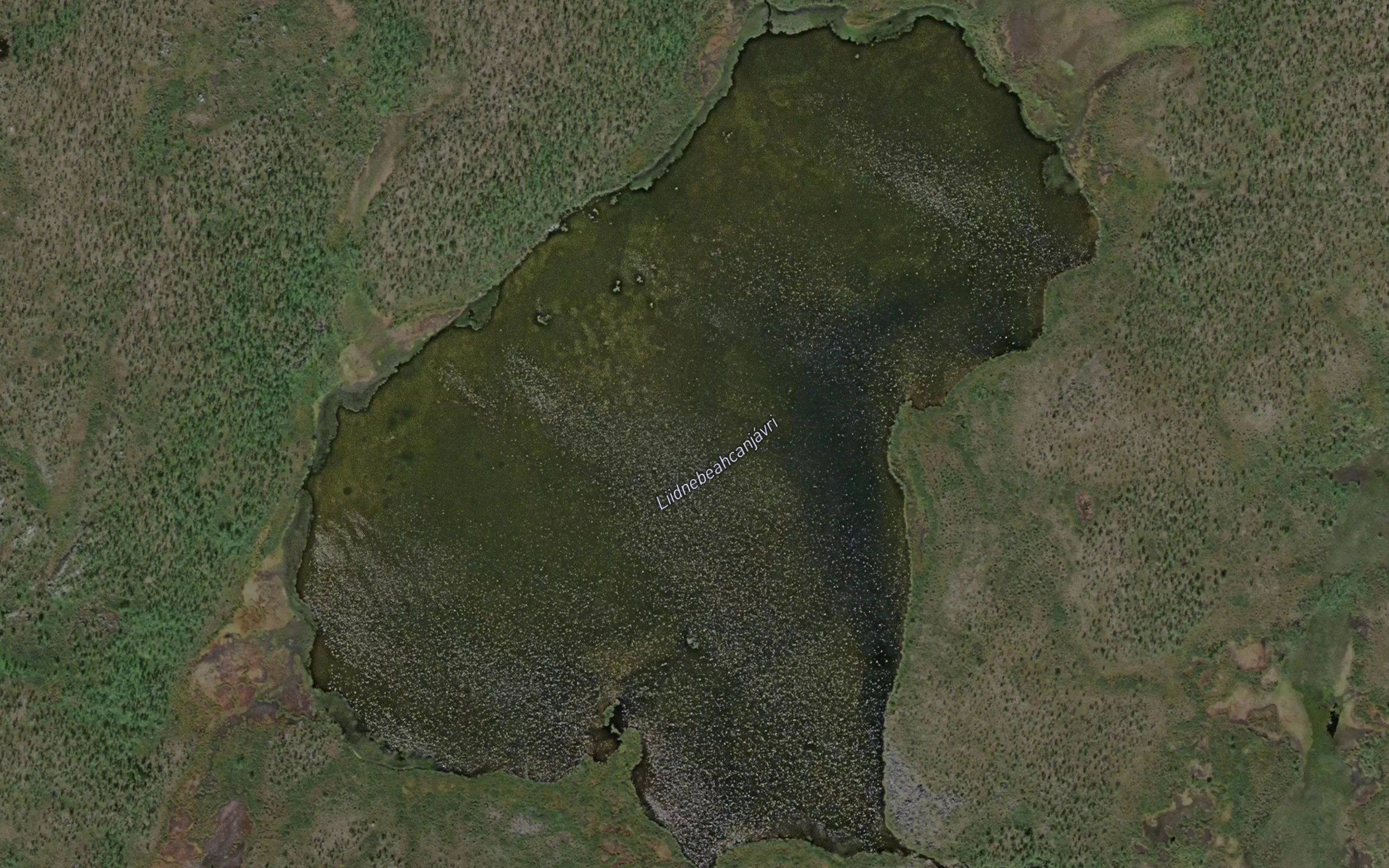 Liidnebaeccanjavri