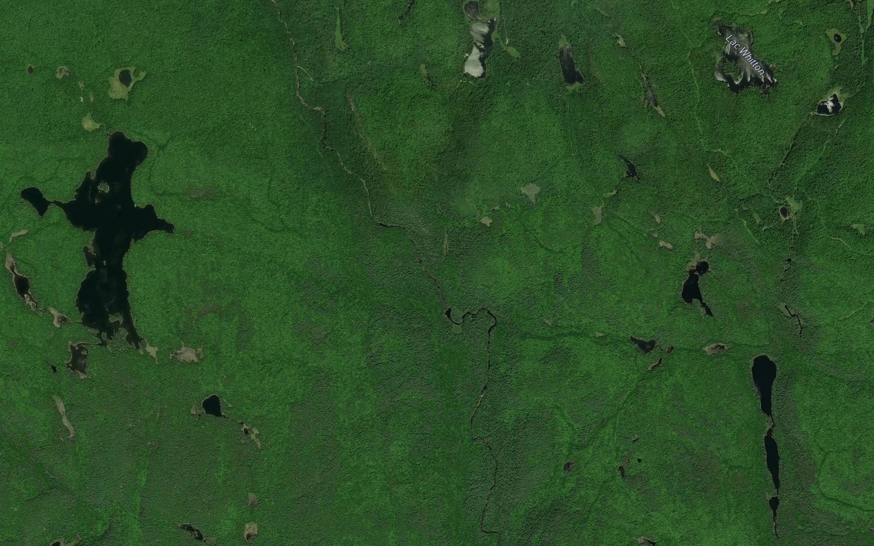 Satellite map of the Ruisseau Bucholtz