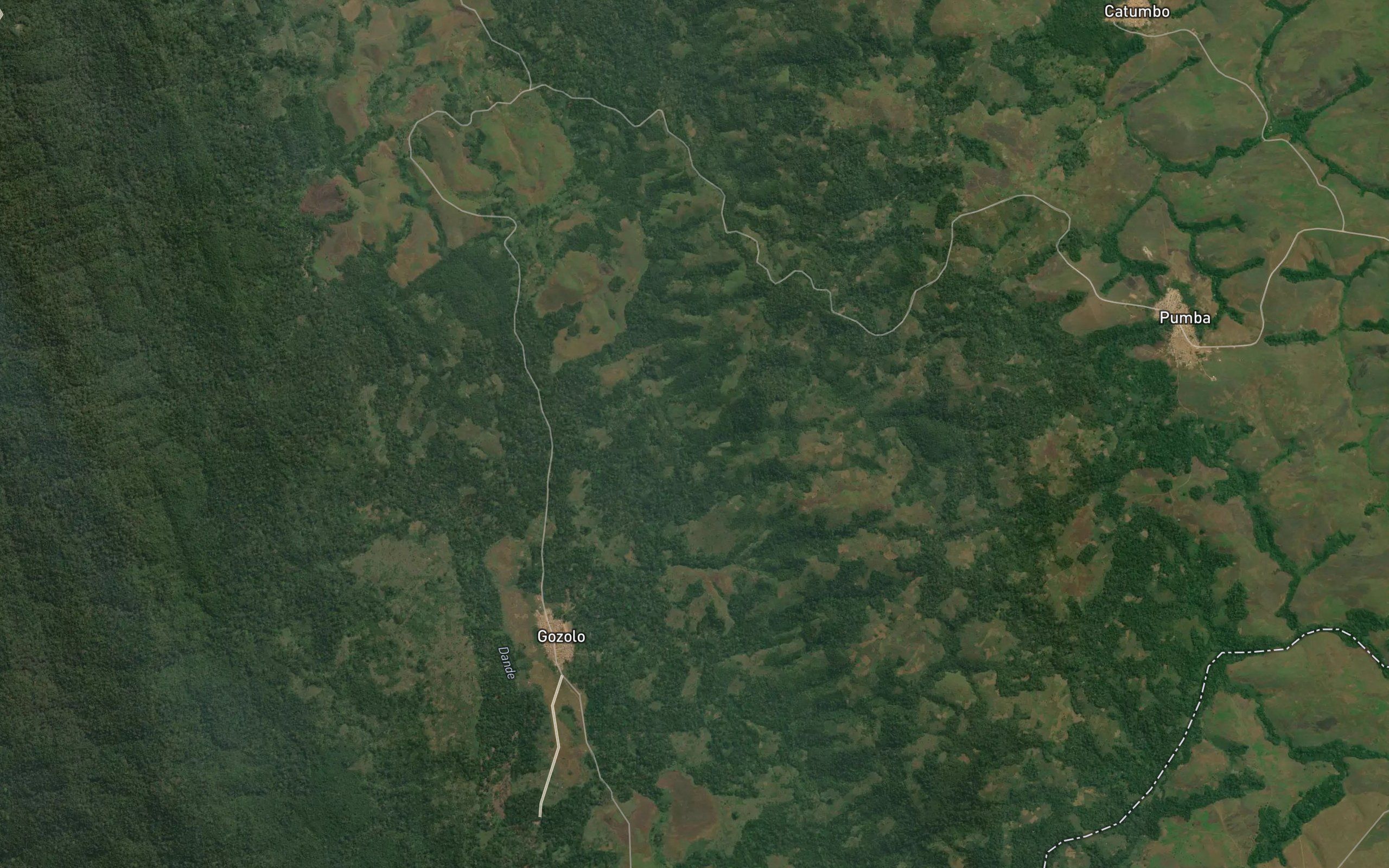 Cananga