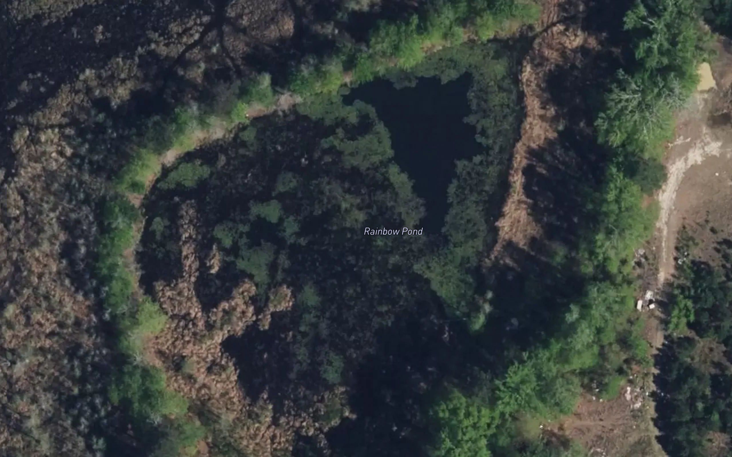 Rainbow Pond