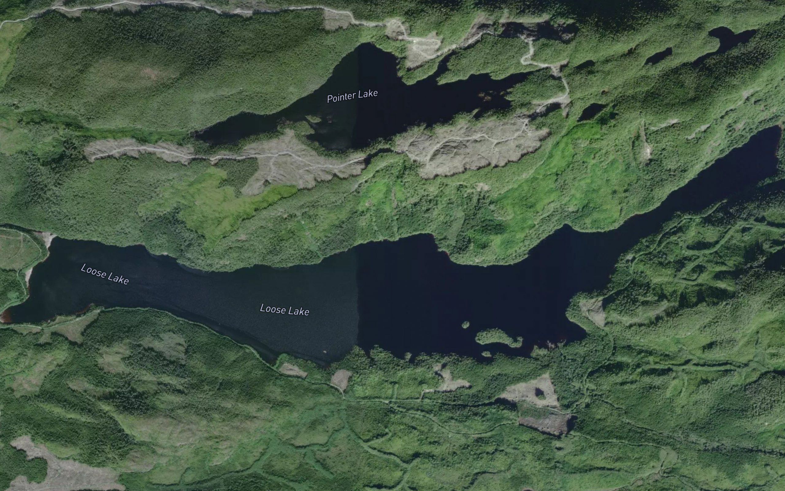 Loose Lake