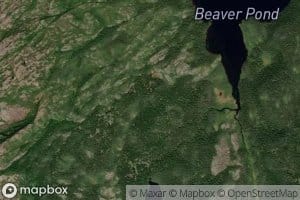 Beaver Pond