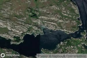 Guleskjervika