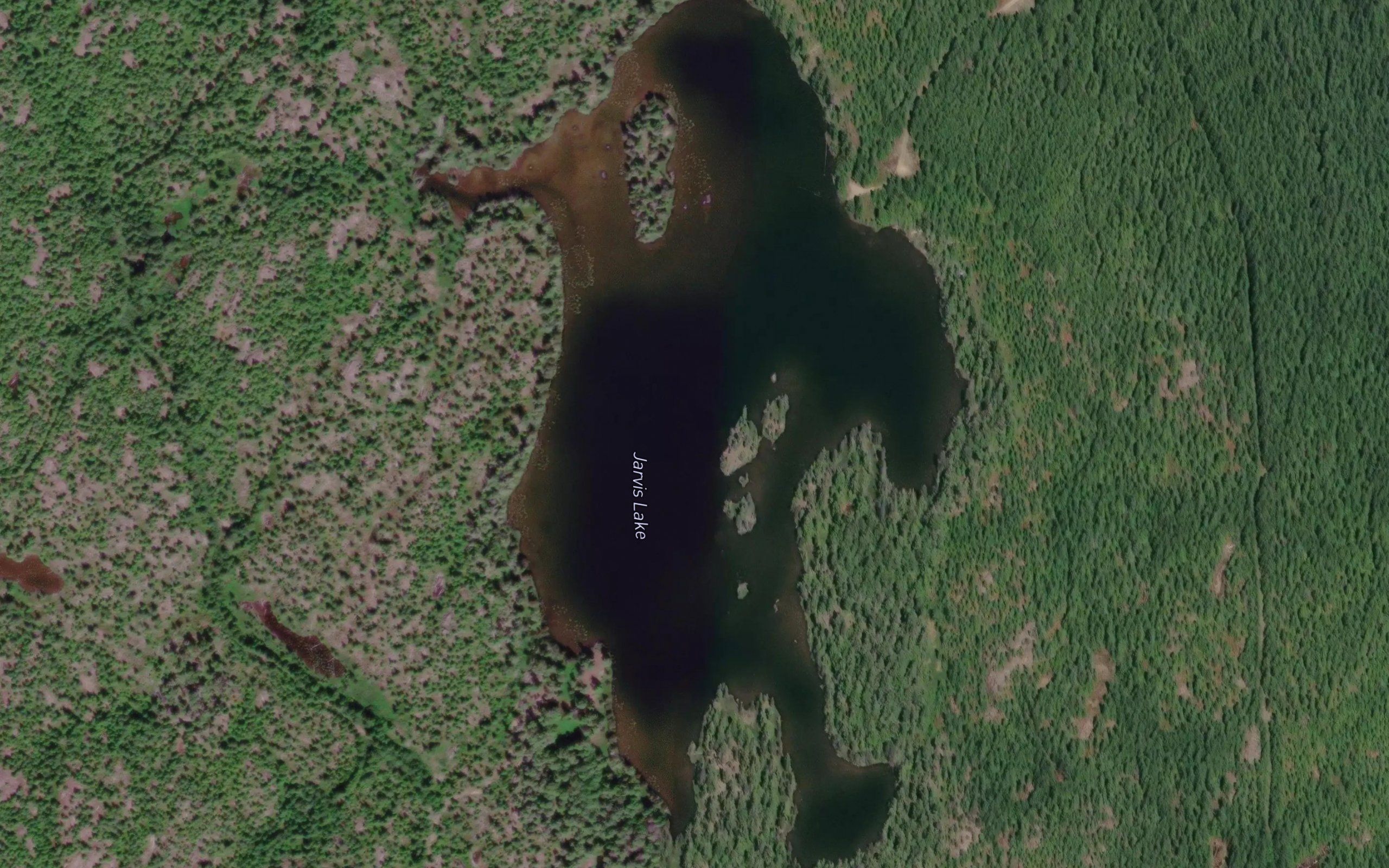 Jarvis Lake