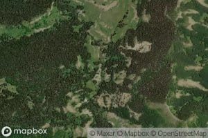 Dry Fork Curecanti Creek