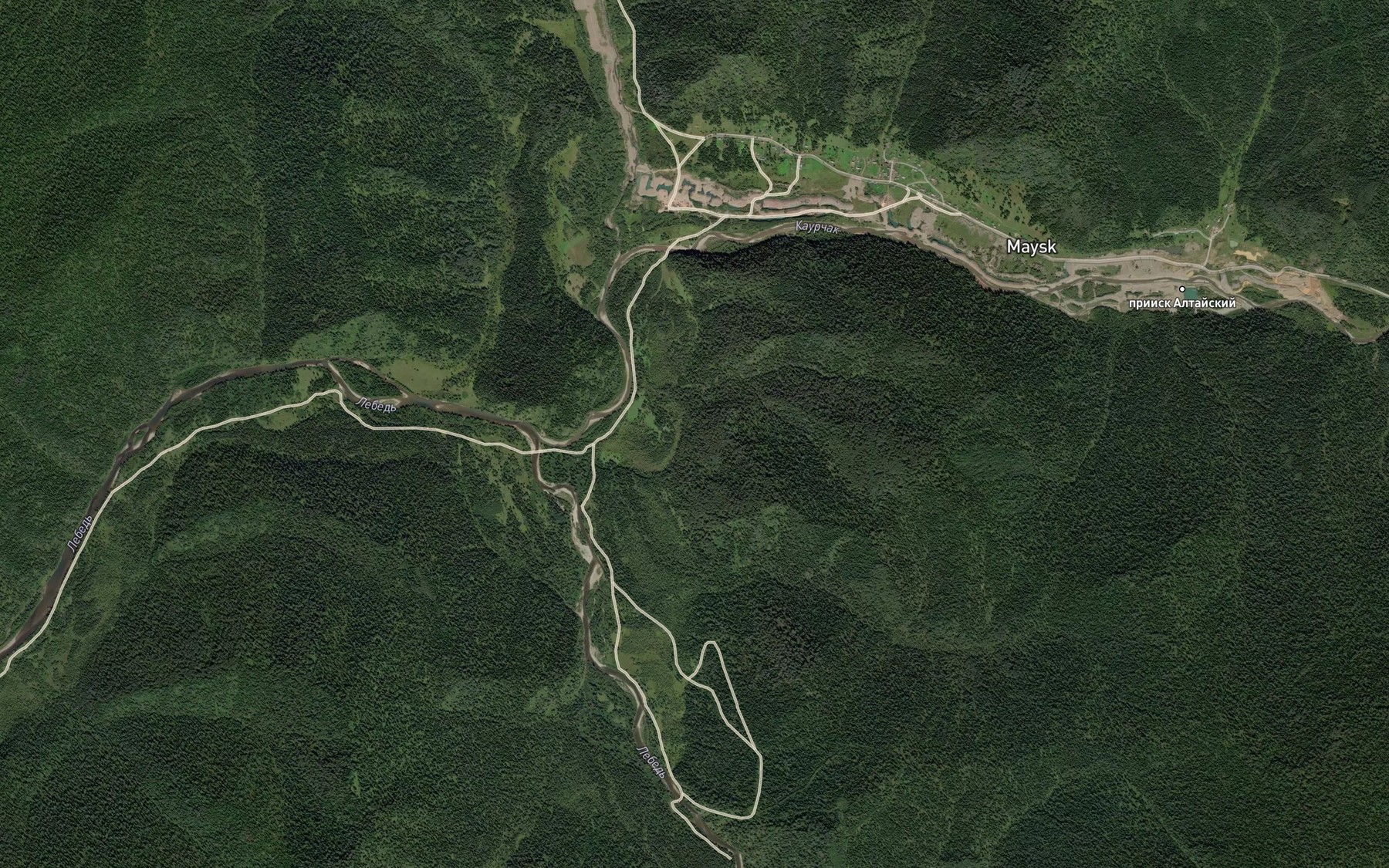 Satellite map of the Lebed'