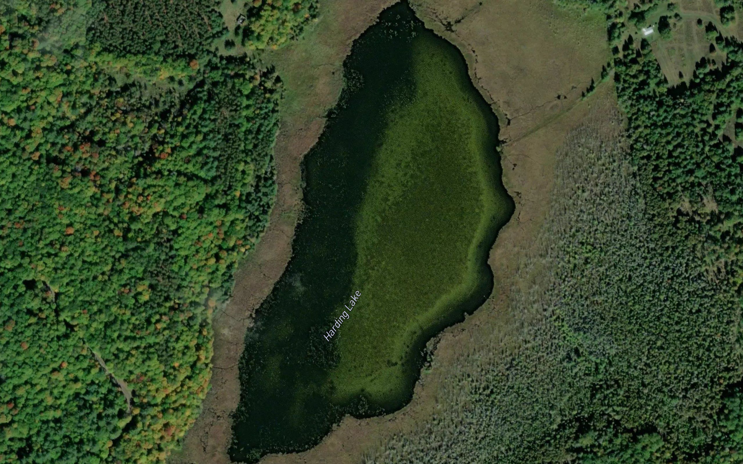 Harding Lake