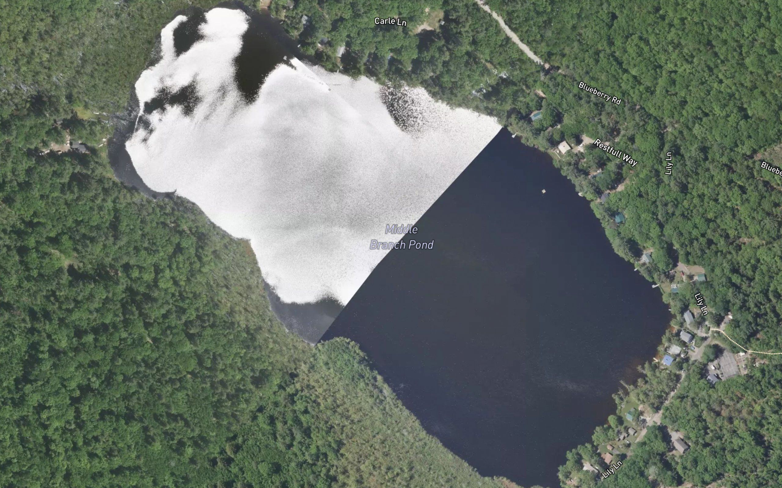 Middle Branch Pond
