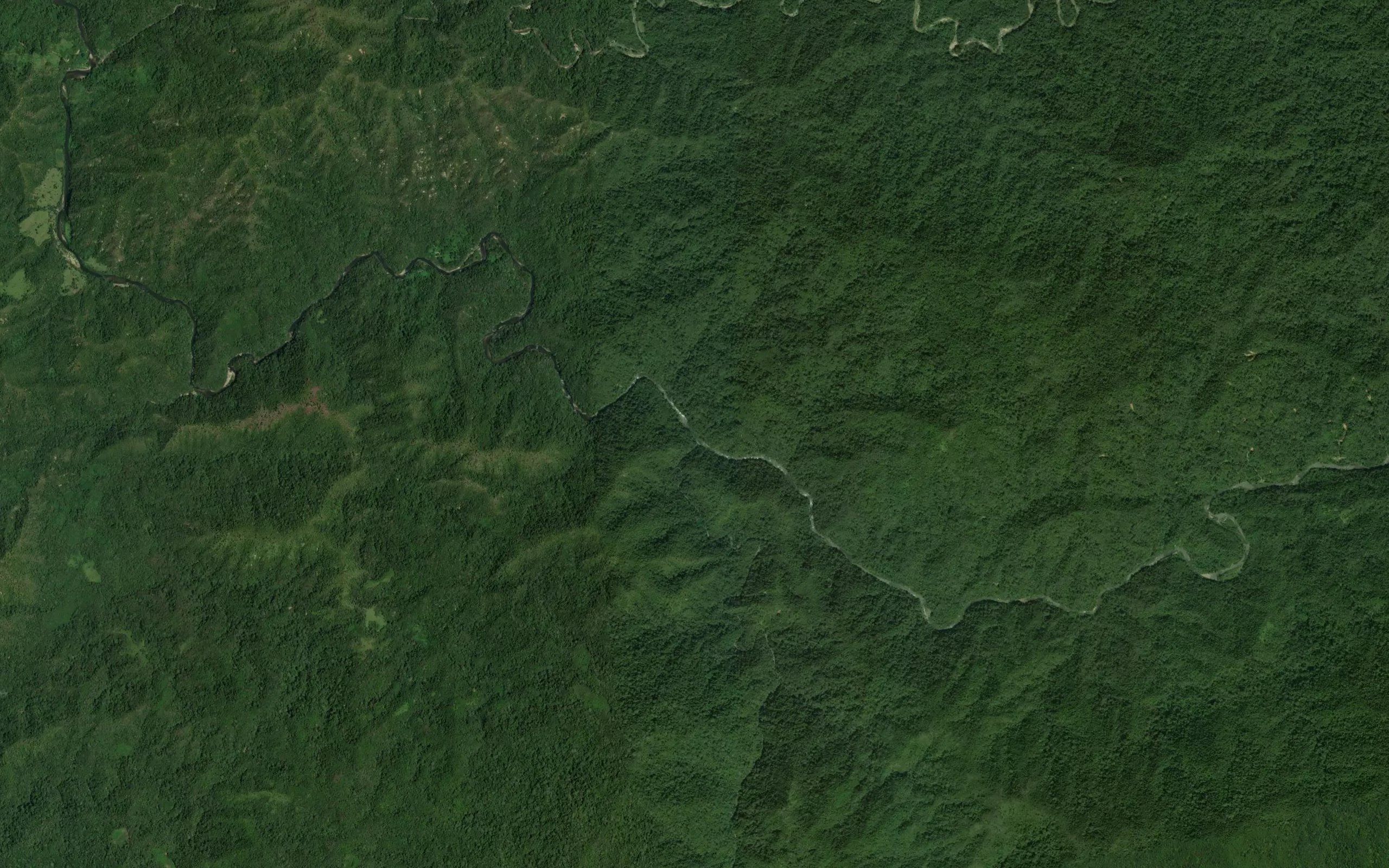 Carrizal