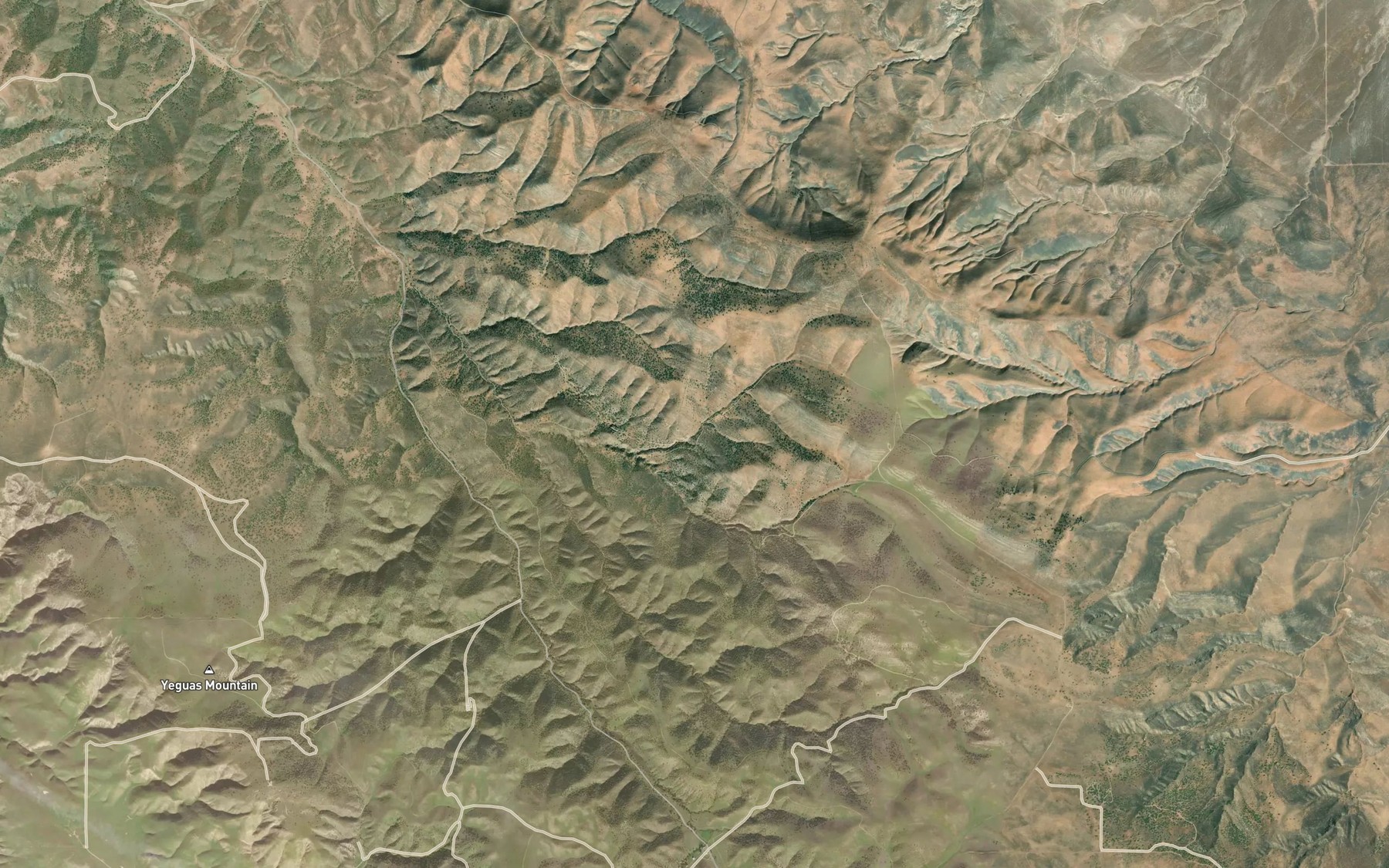 Satellite map of the Alex Cook Spring