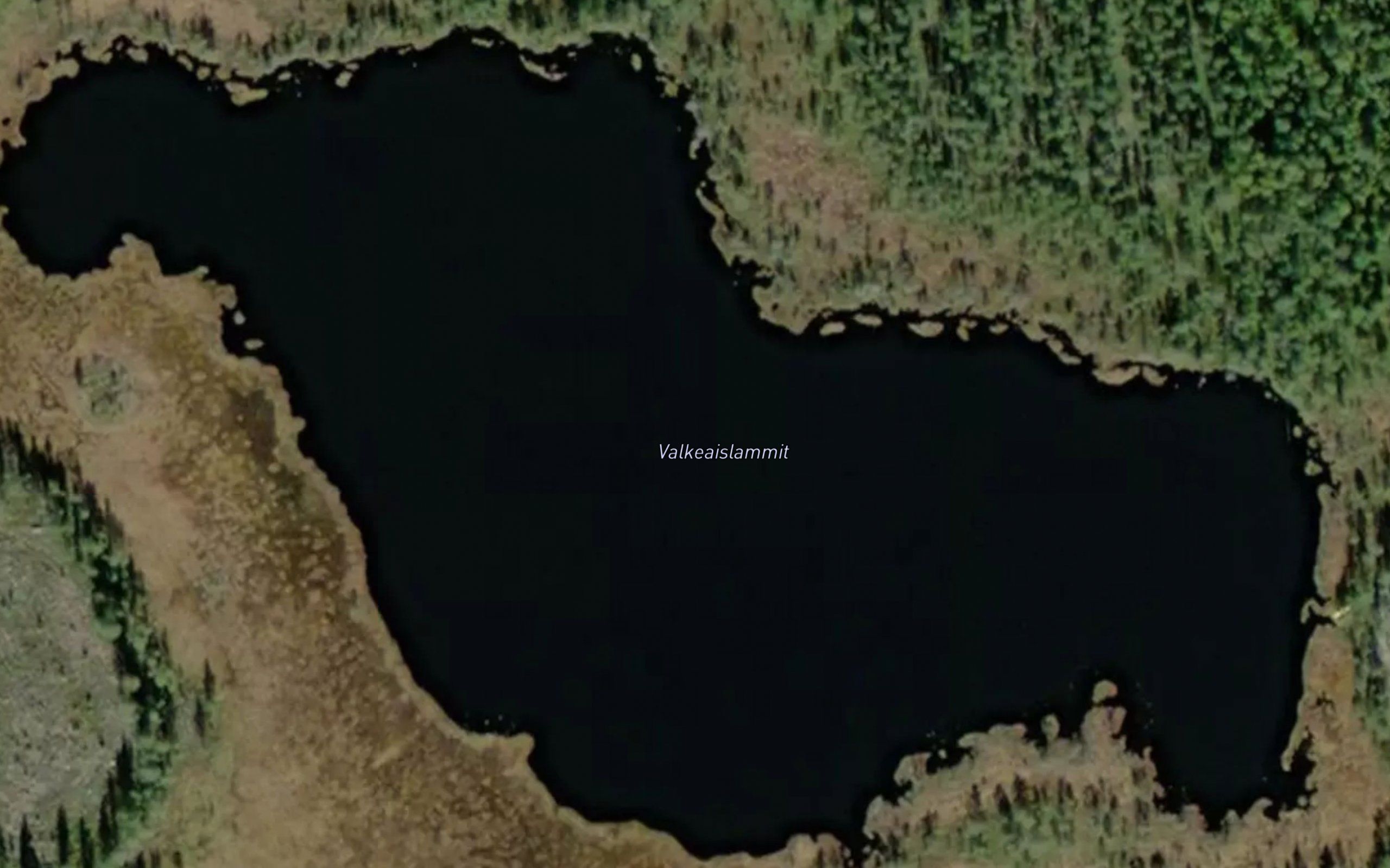 Valkeaislammit