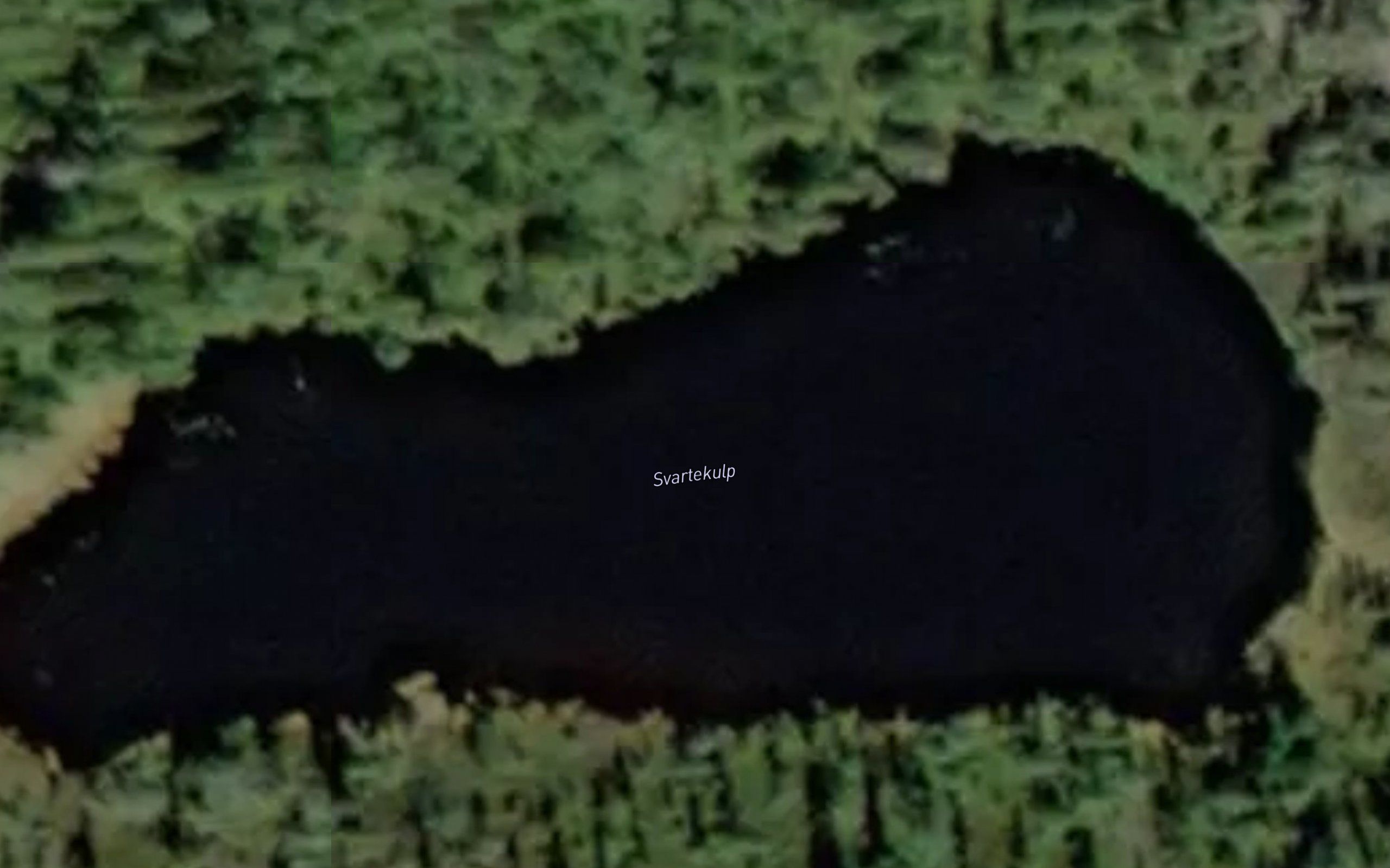 Svartekulp
