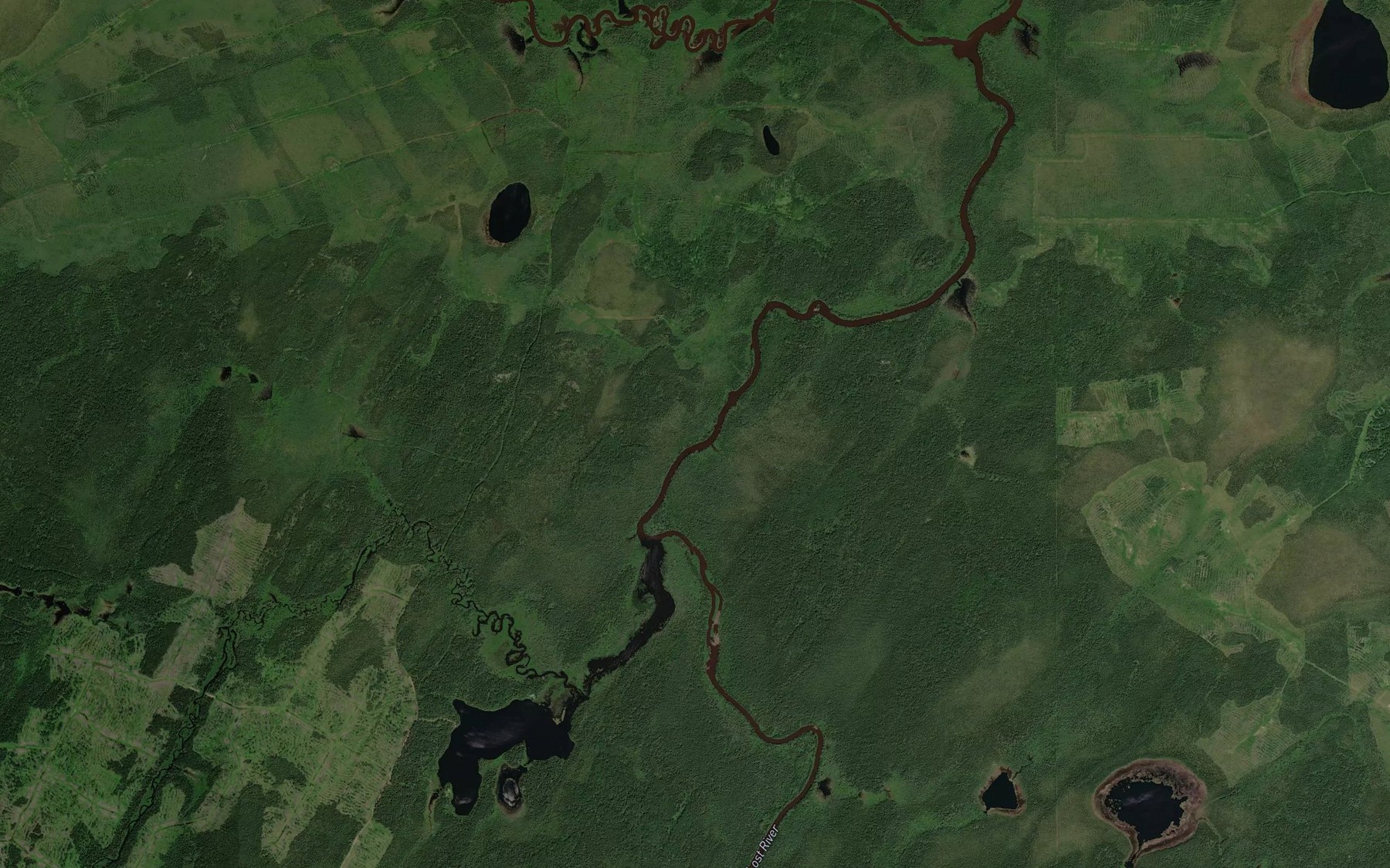 Satellite map of the Solomon Creek