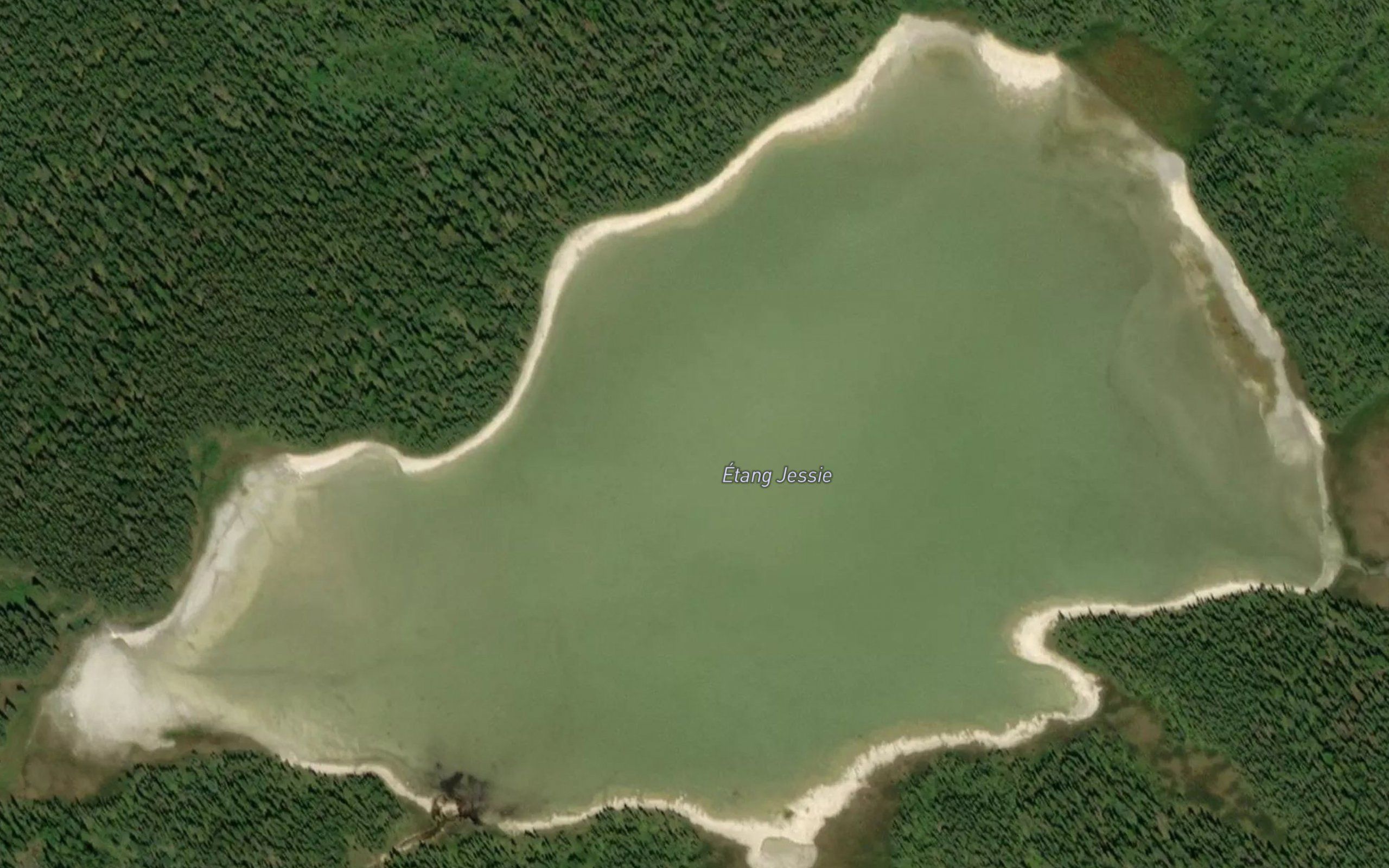 Etang Jessie