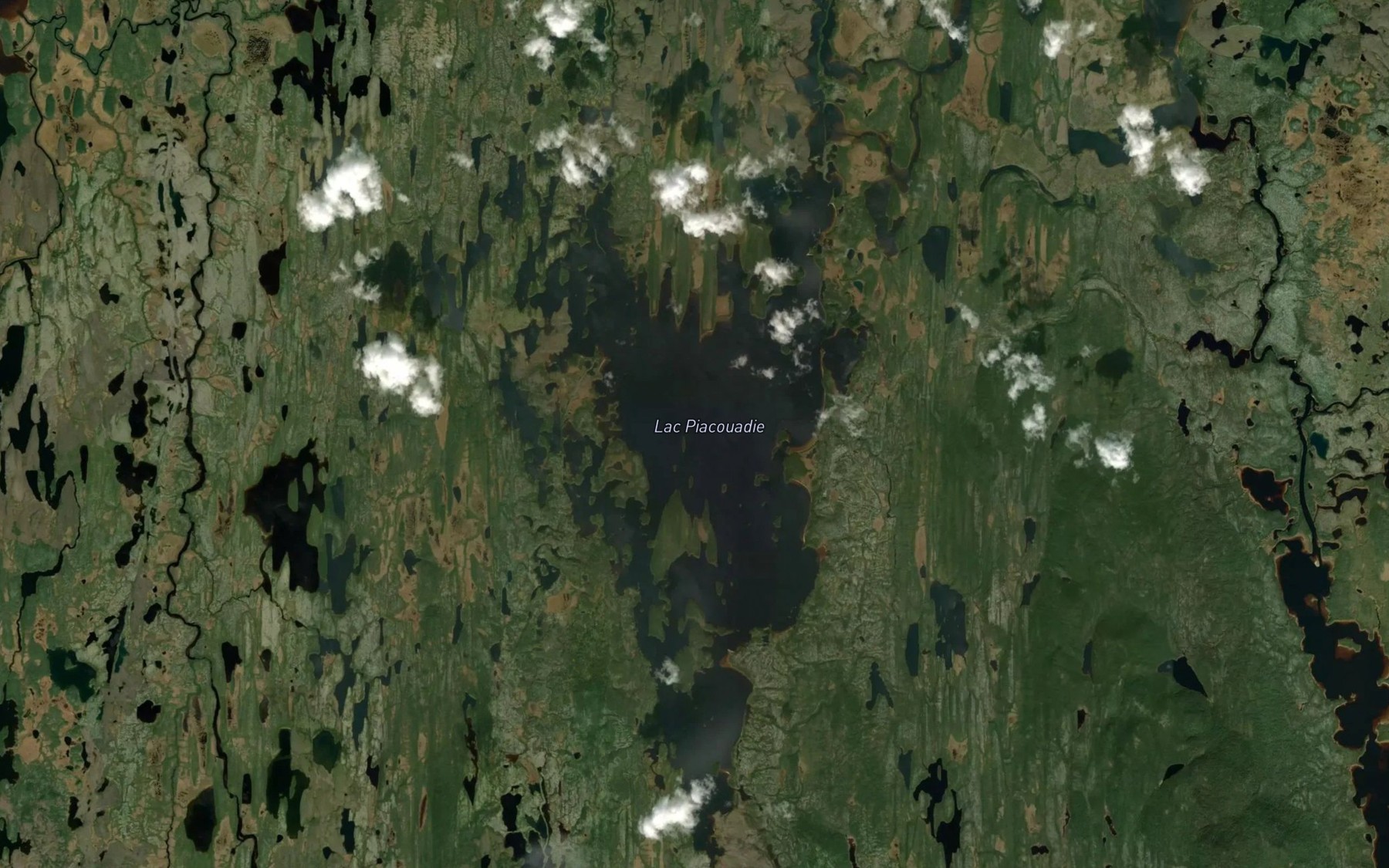 Satellite map of the Lac Piacouadie