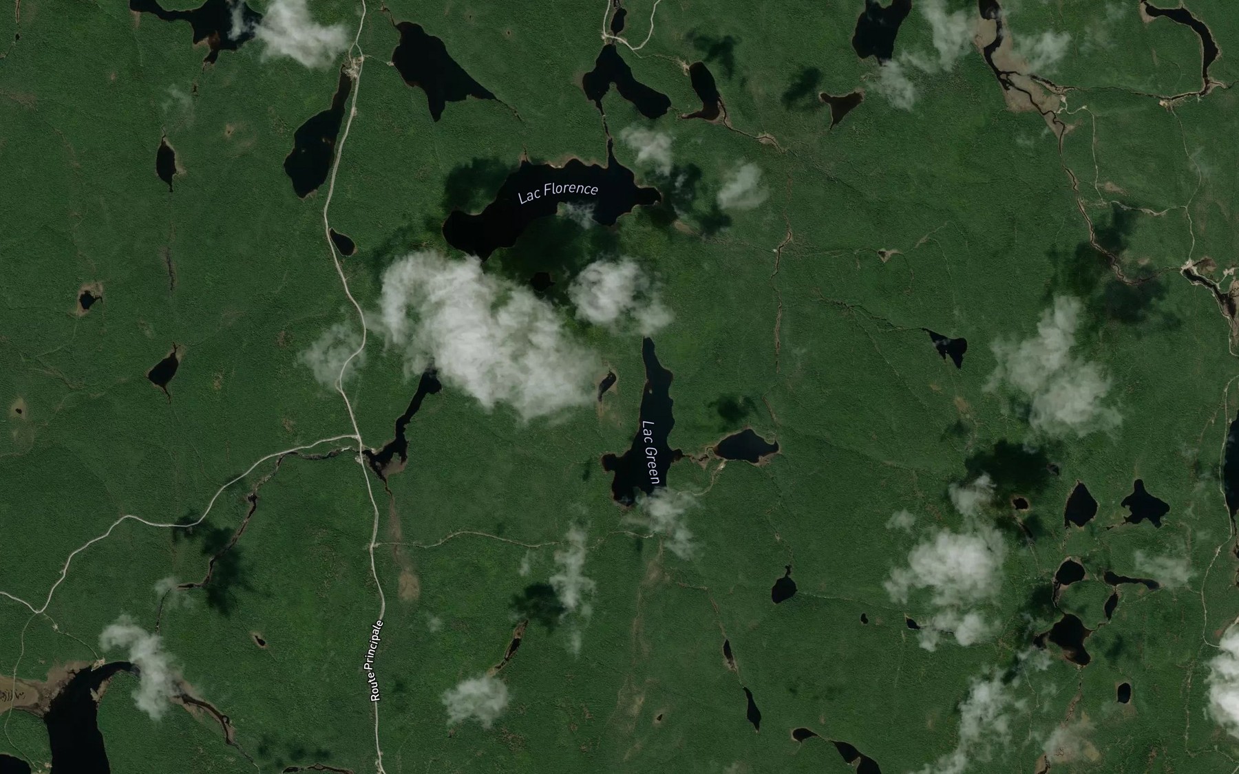 Satellite map of the Lac des Gros Bras