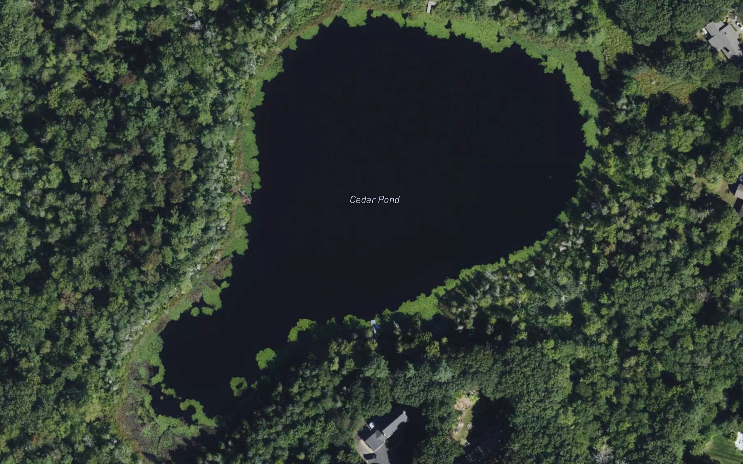 Cedar Pond