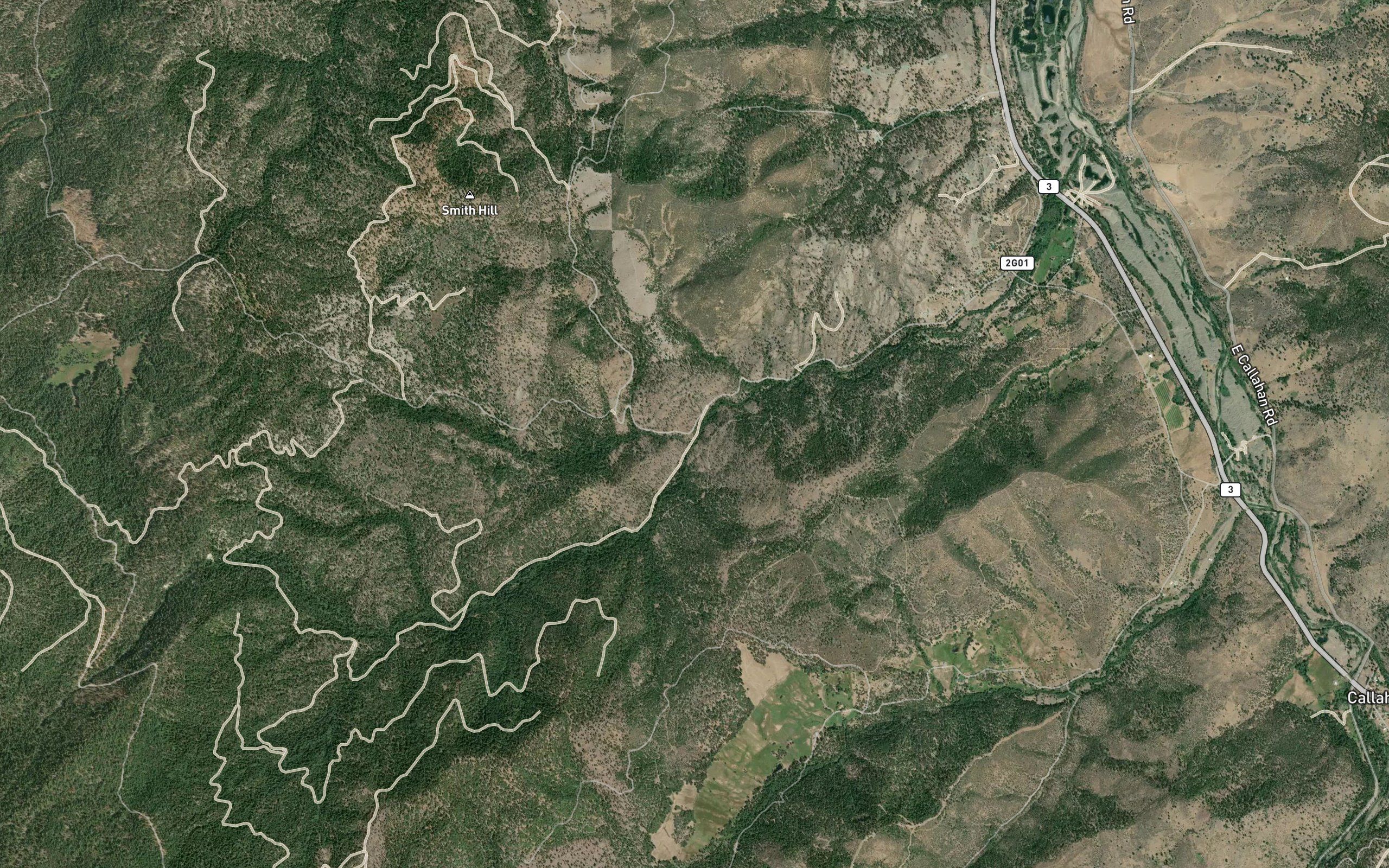 Tiger Fork