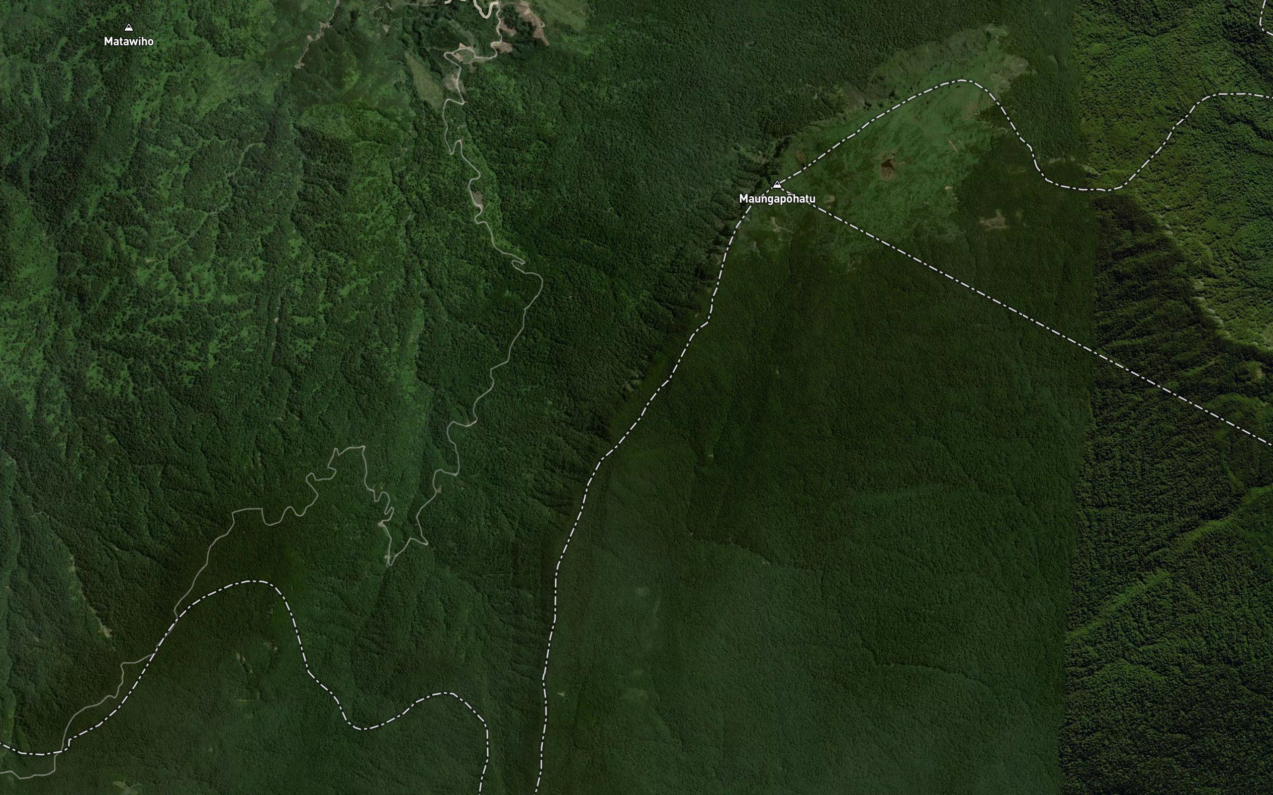 Te Mata Stream