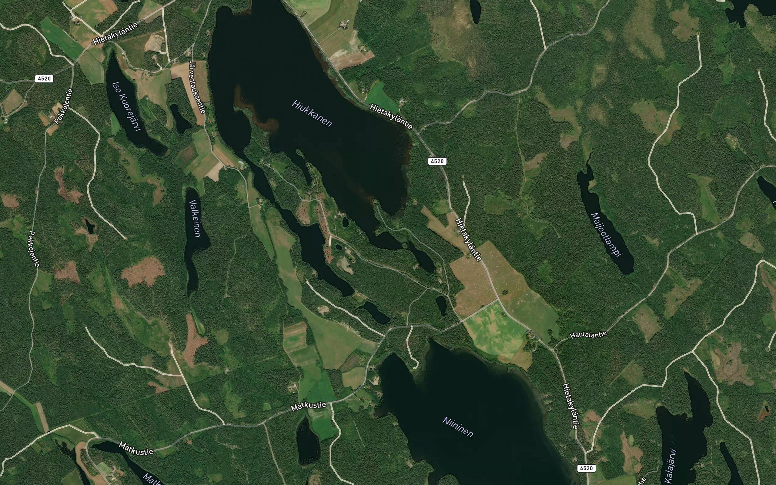 Kesalahti